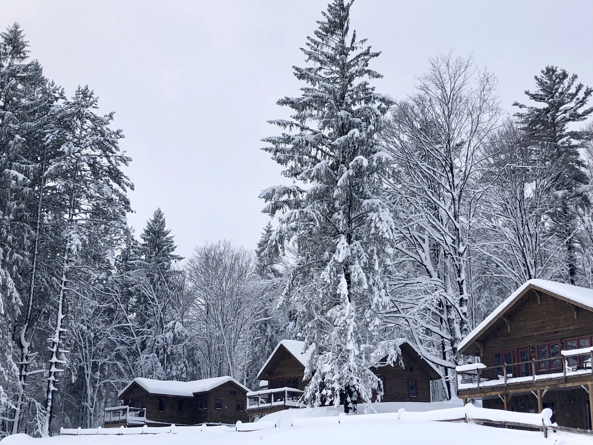 Cabins Winter (1).jpg