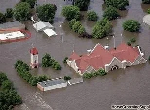 Flooded residential area with partially submerged houses and trees.