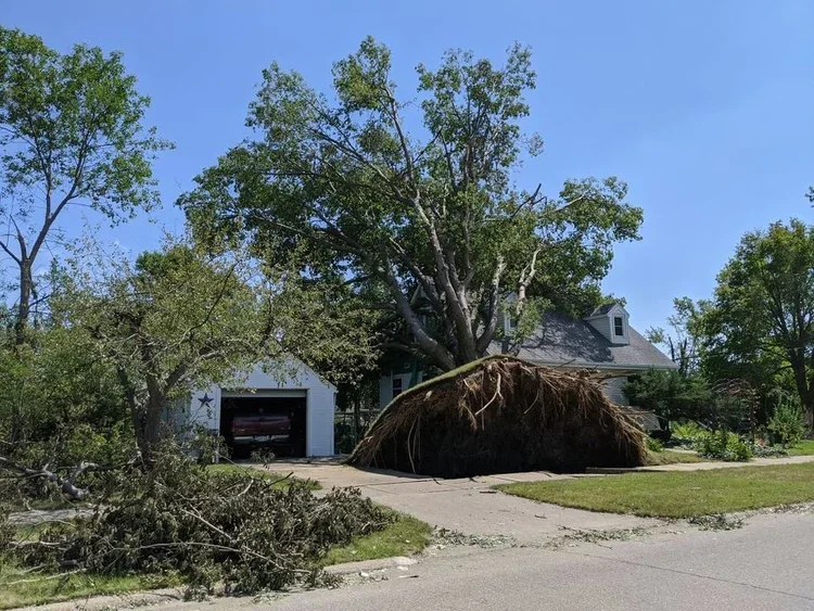 A fallen large tree blocking the driveway of a house with a garage, with debris scattered on the lawn and street after a storm.