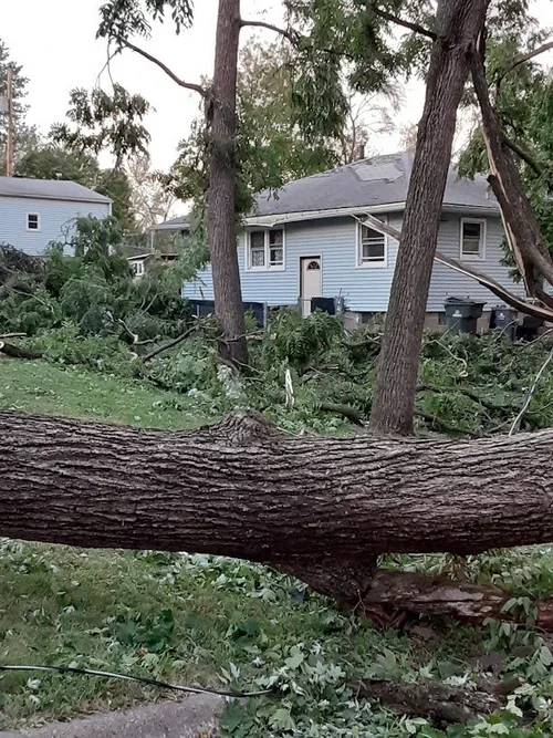 Fallen tree blocking sidewalks in front of a house with broken branches and debris.