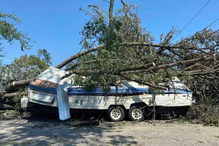 A large tree has fallen onto a white RV, damaging the roof and side, with debris scattered on the ground.