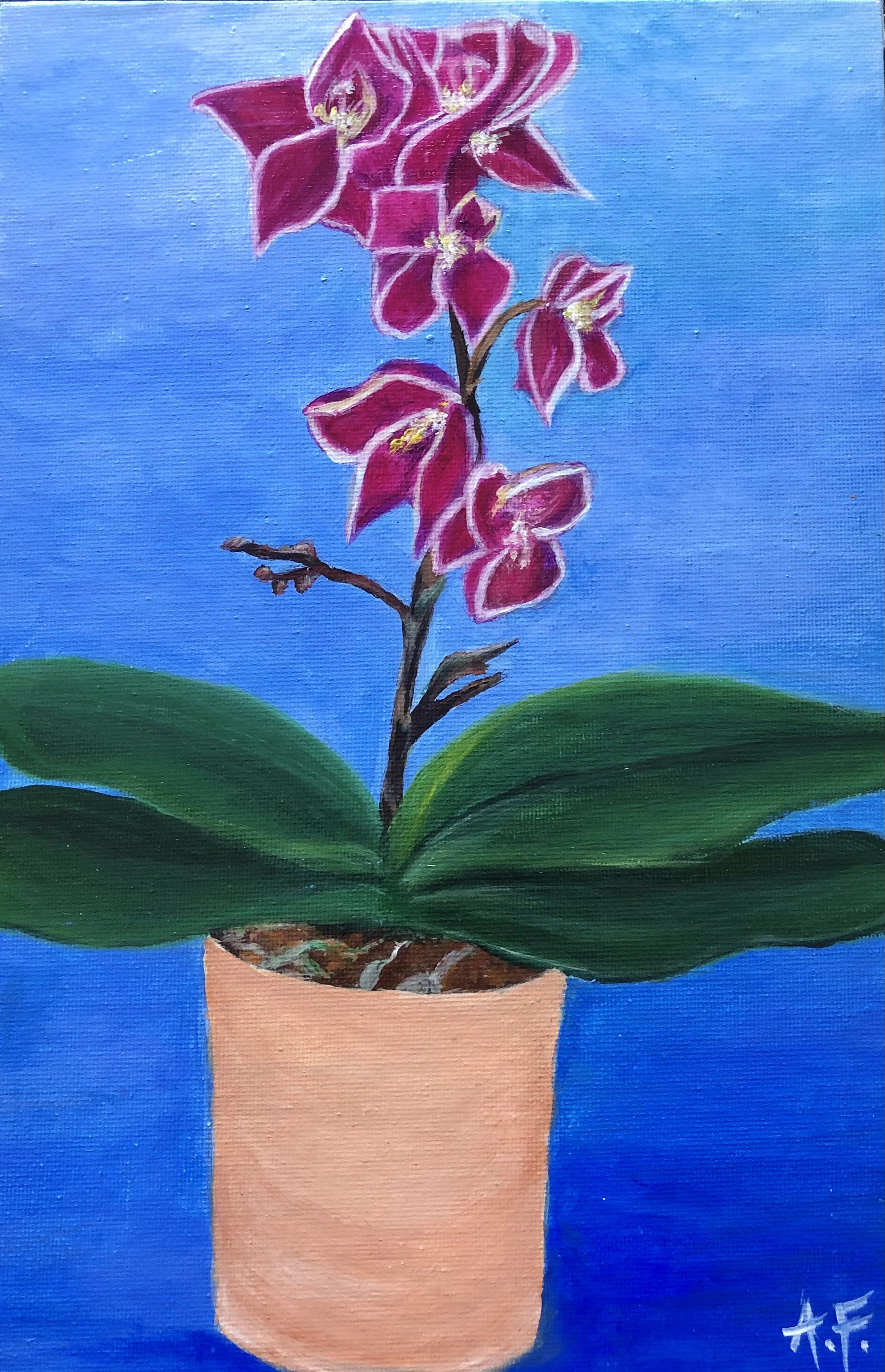 A painting of a pink orchid flower in a beige pot against a blue background, with green leaves at the base.