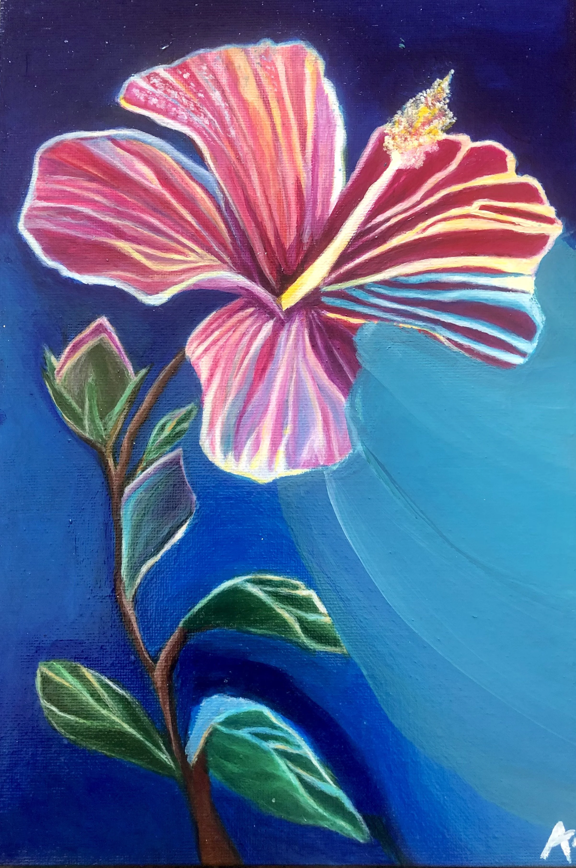 A colorful painting of a hibiscus flower with pink and red petals, green leaves, and a dark blue background.