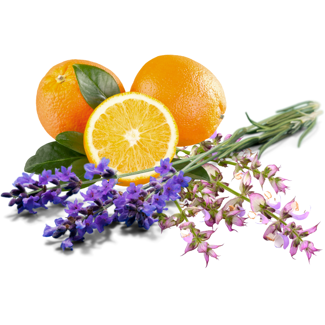 Untitled design (13).png