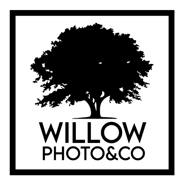 A black and white logo featuring a silhouette of a large tree above the text 'WILLOW PHOTO&CO'.