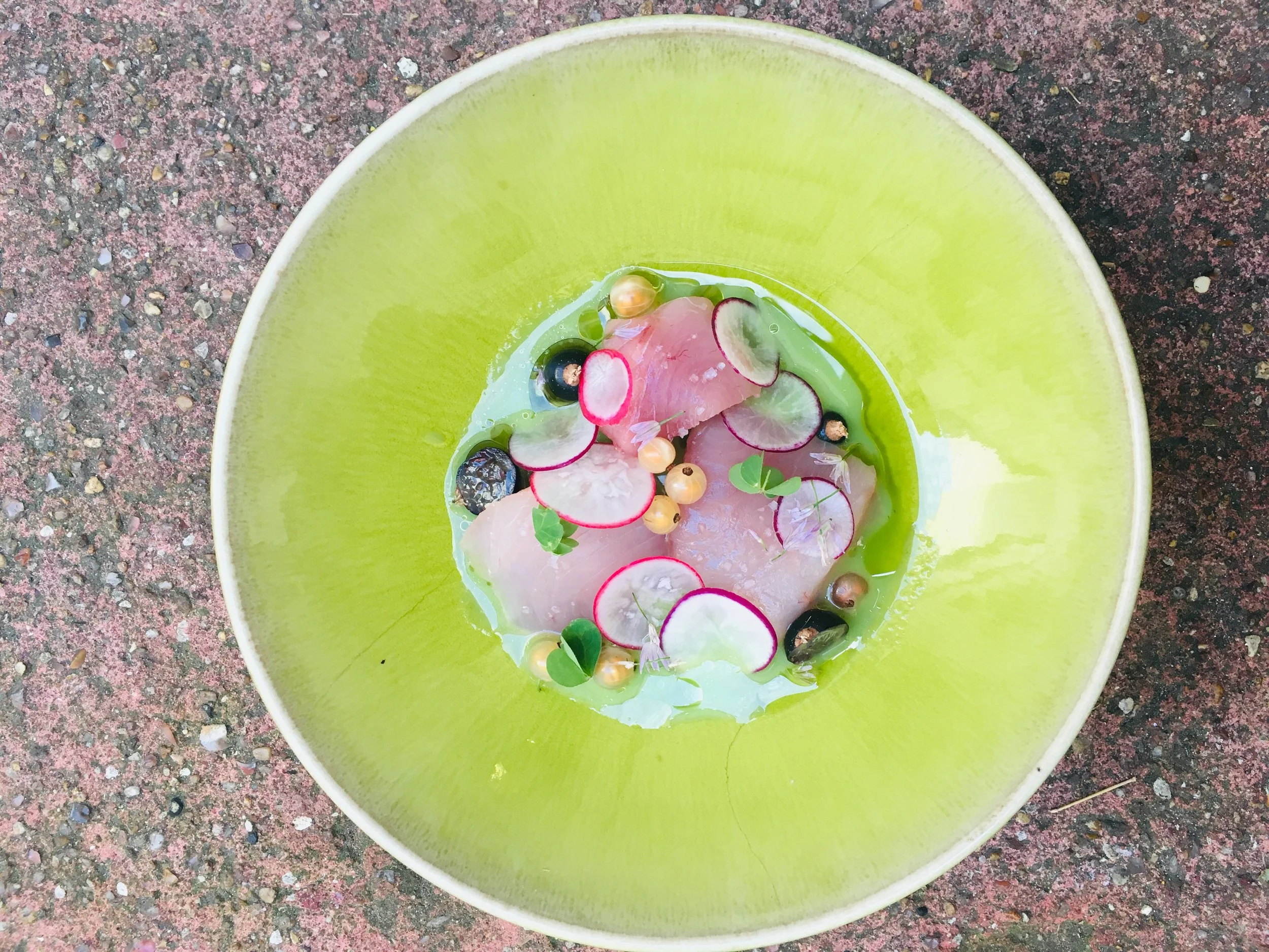 Une assiette verte contenant une truite de mer garnie de radis, de câpres, de micro-pousses et de petits légumes, sur une surface en granite.