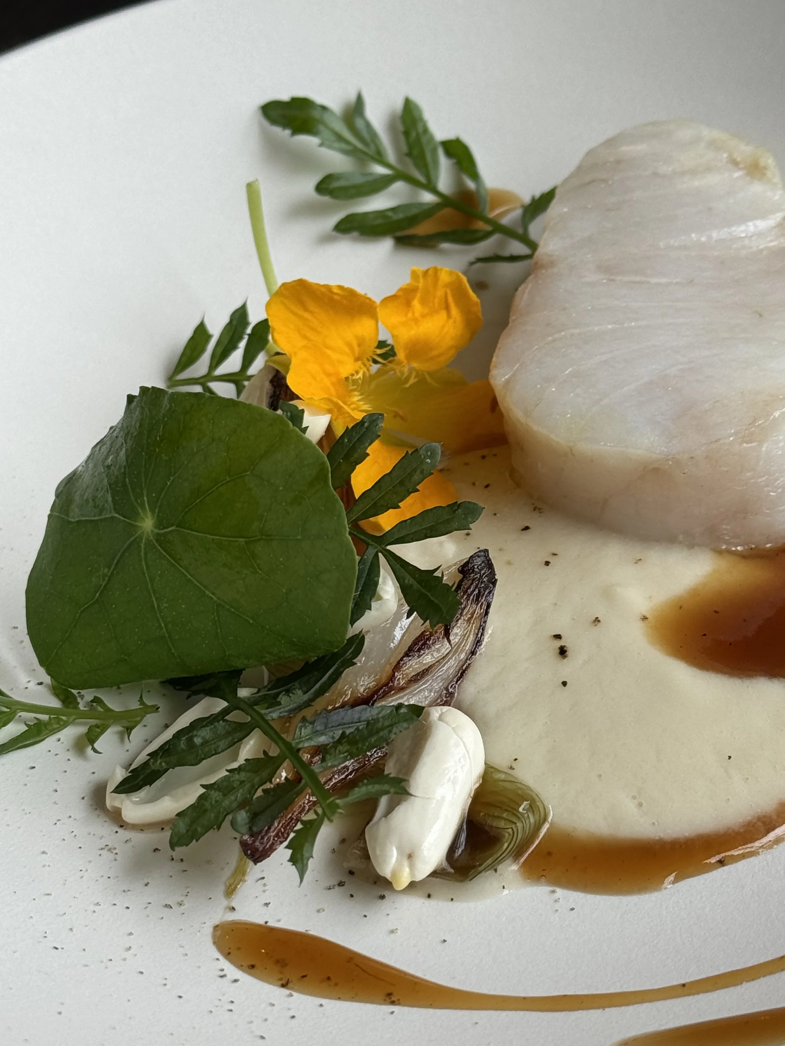 Une assiette avec un filet de poisson, des herbes fraîches, des fleurs comestibles jaunes, une sauce et de fines herbes.