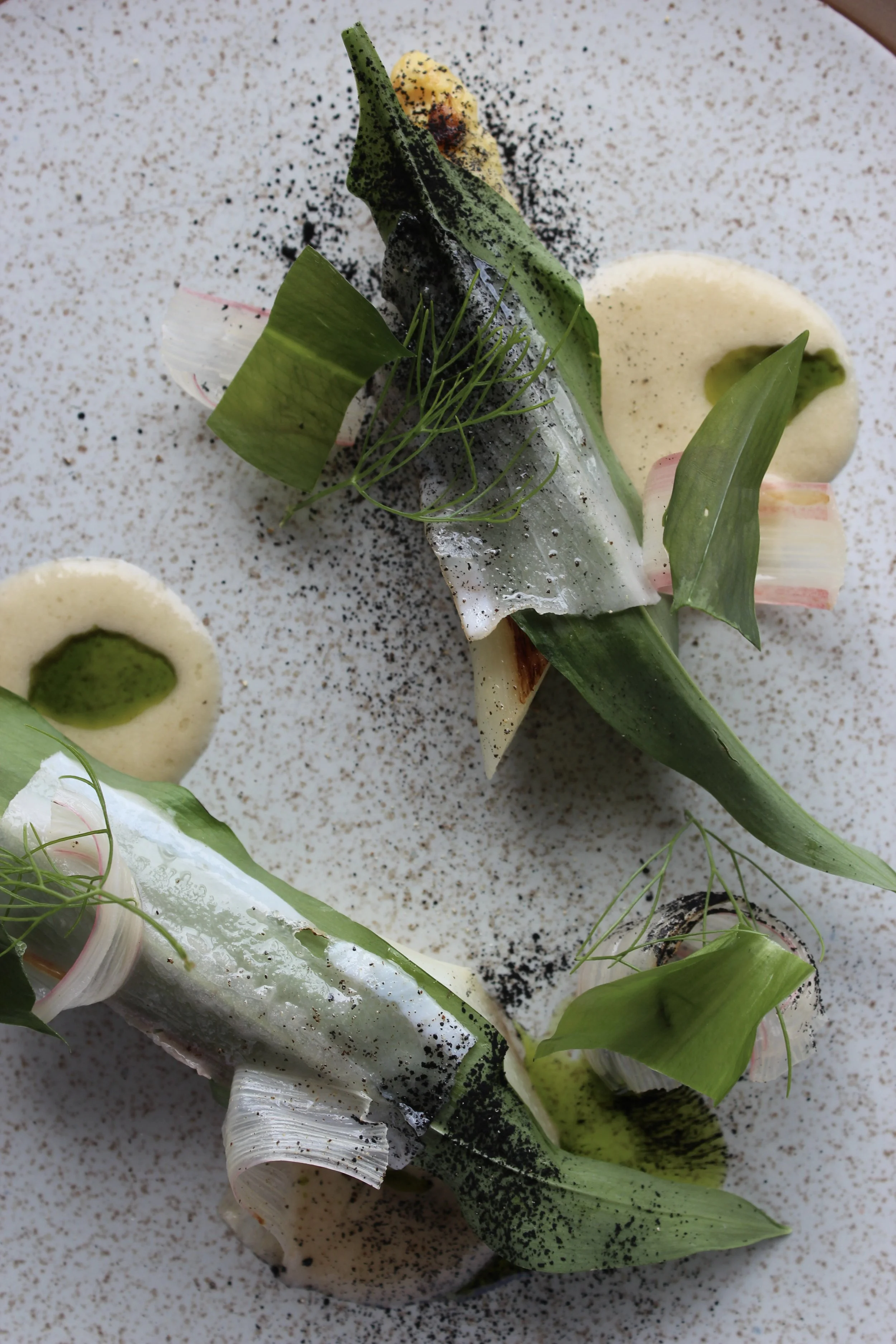 Assiette de plats de fine cuisine gastronomique avec morceaux de poisson, légumes verts, mousse et décorations végétales.