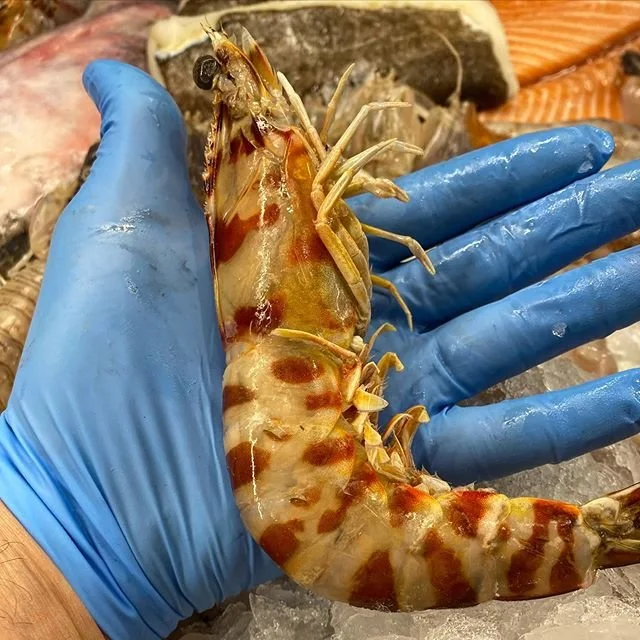 Crostacei freschi preparati al banco della pescheria I Pesciolini