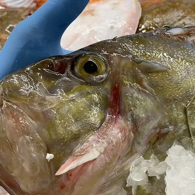 Pesce fresco intero sul banco de I Pesciolini a Milano