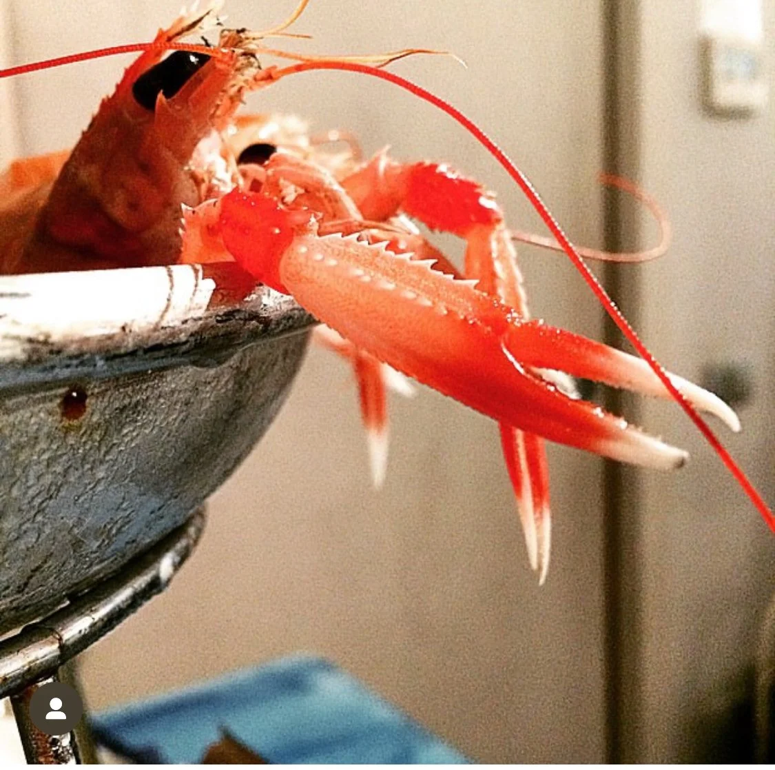 CRUDI DI MARE