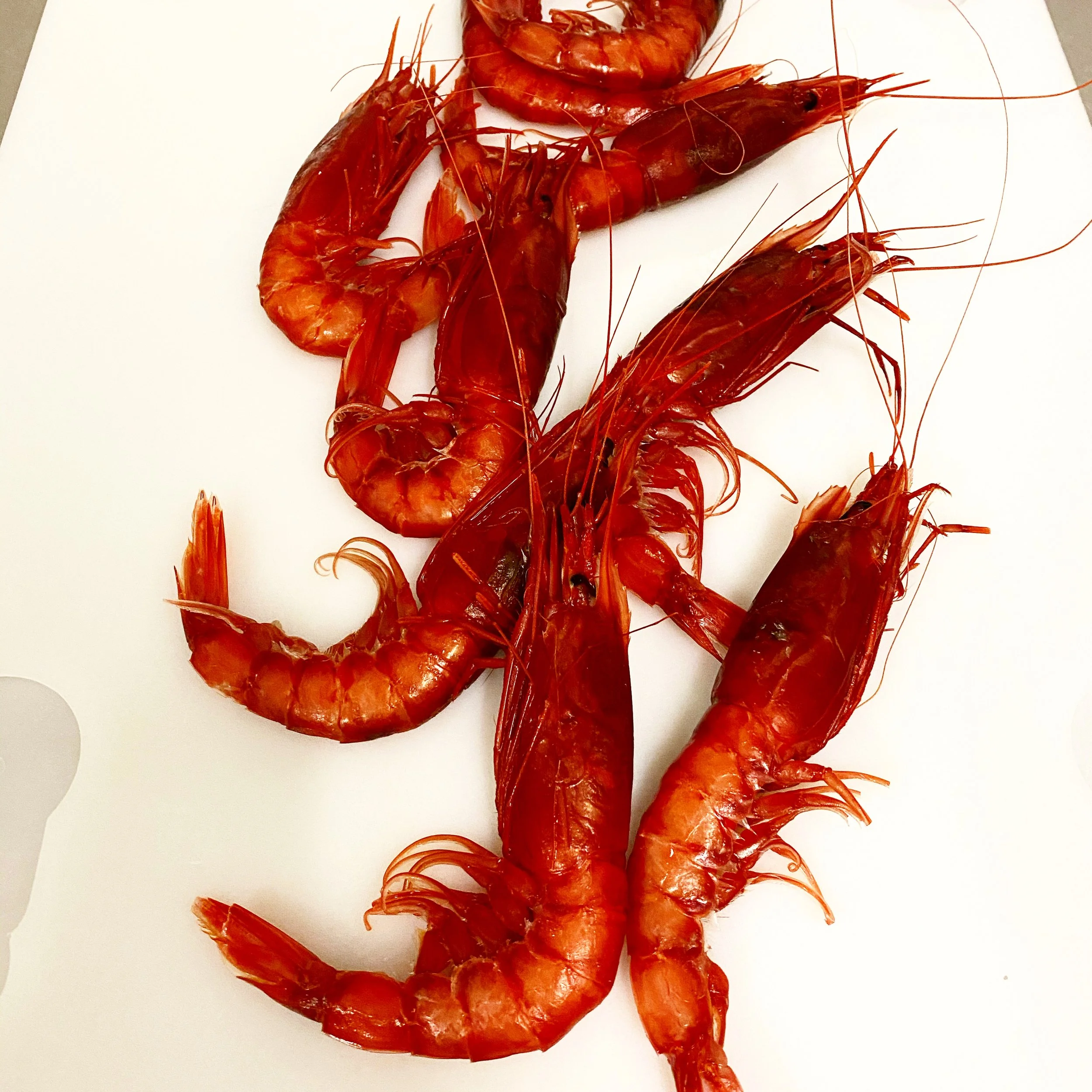 Gambero rosso fresco sul banco della pescheria Pesciolini