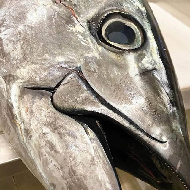 PESCE FRESCO TONNO ROSSO ESPOSTO SUL BANCO DELLA PESCHERIA PESCIOLINI