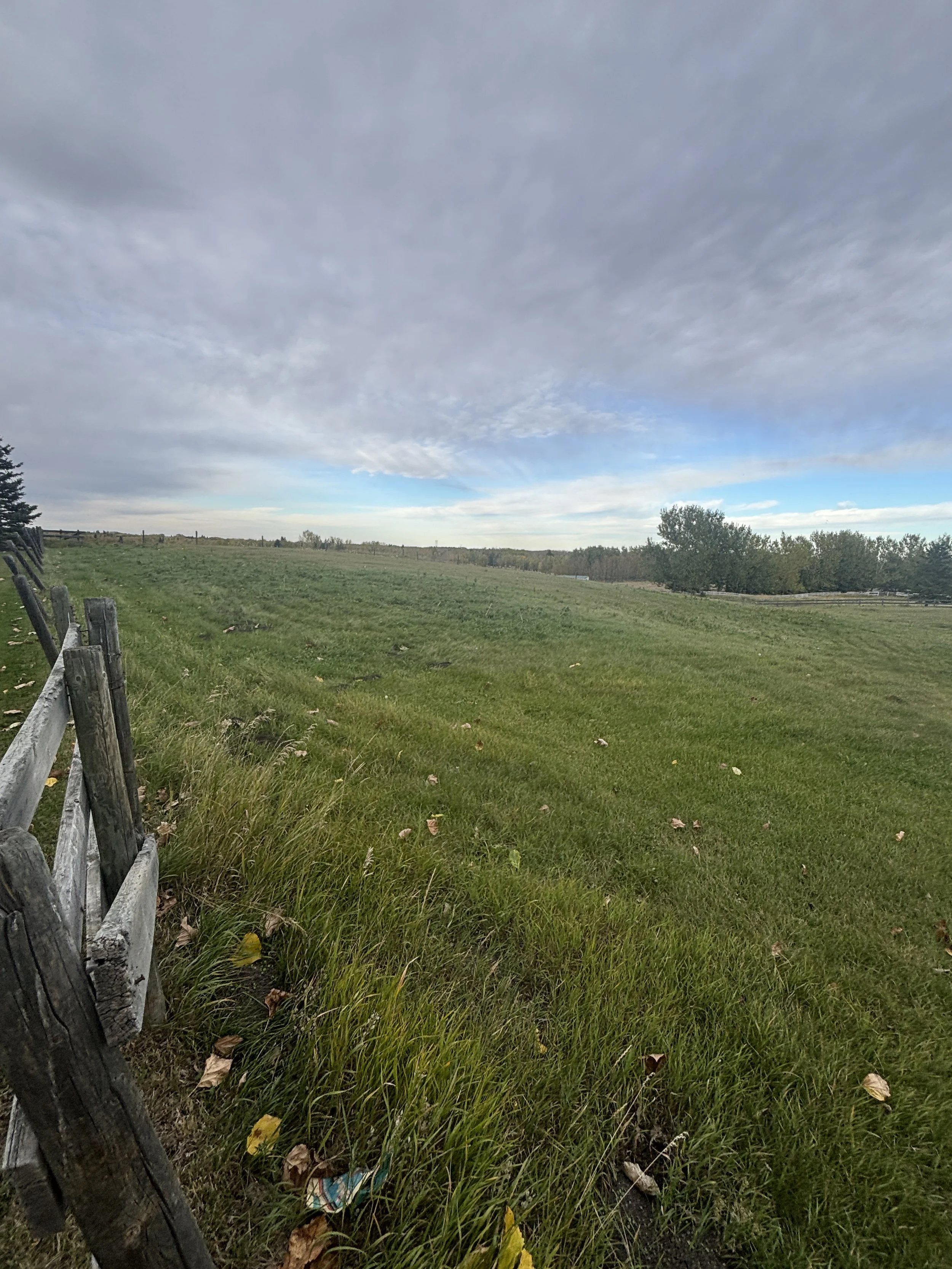 Bearspaw Road Land Use & Subdivision — Square Root Planning
