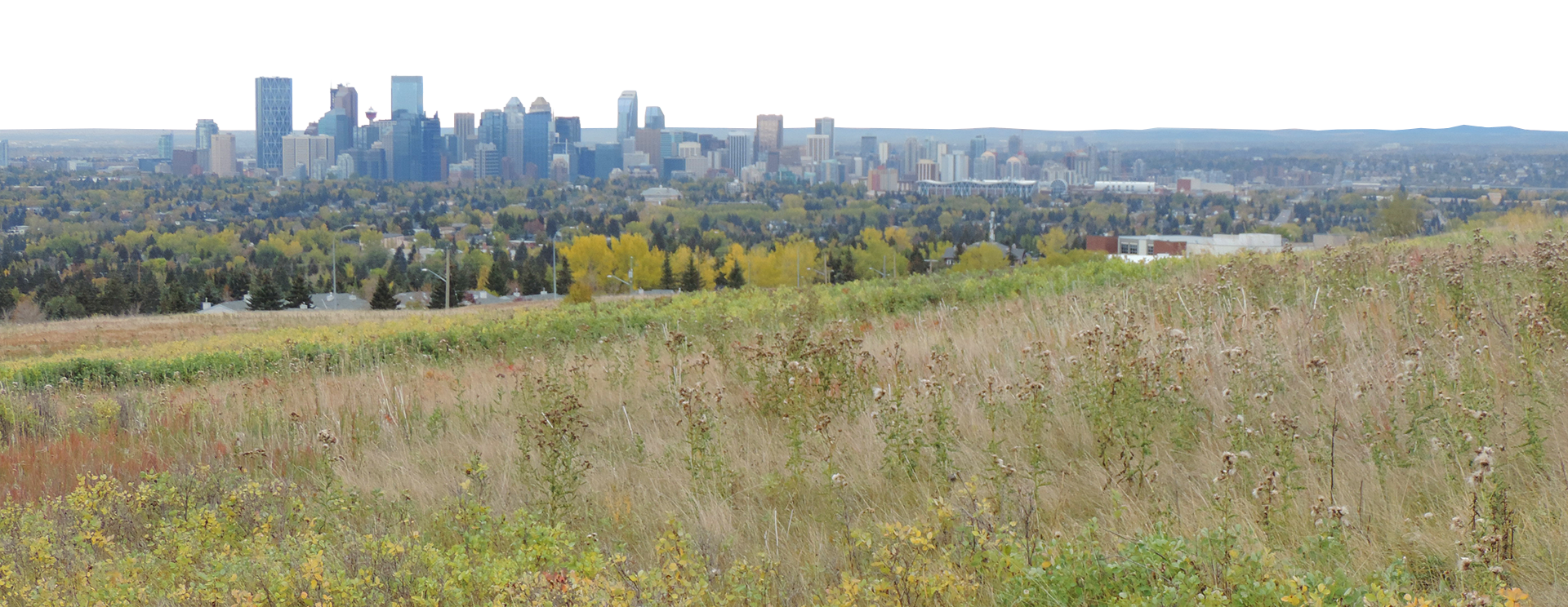 Calgary city skyline viewed from a grassy, slightly hilly foreground with trees and fields, under a cloudy sky.