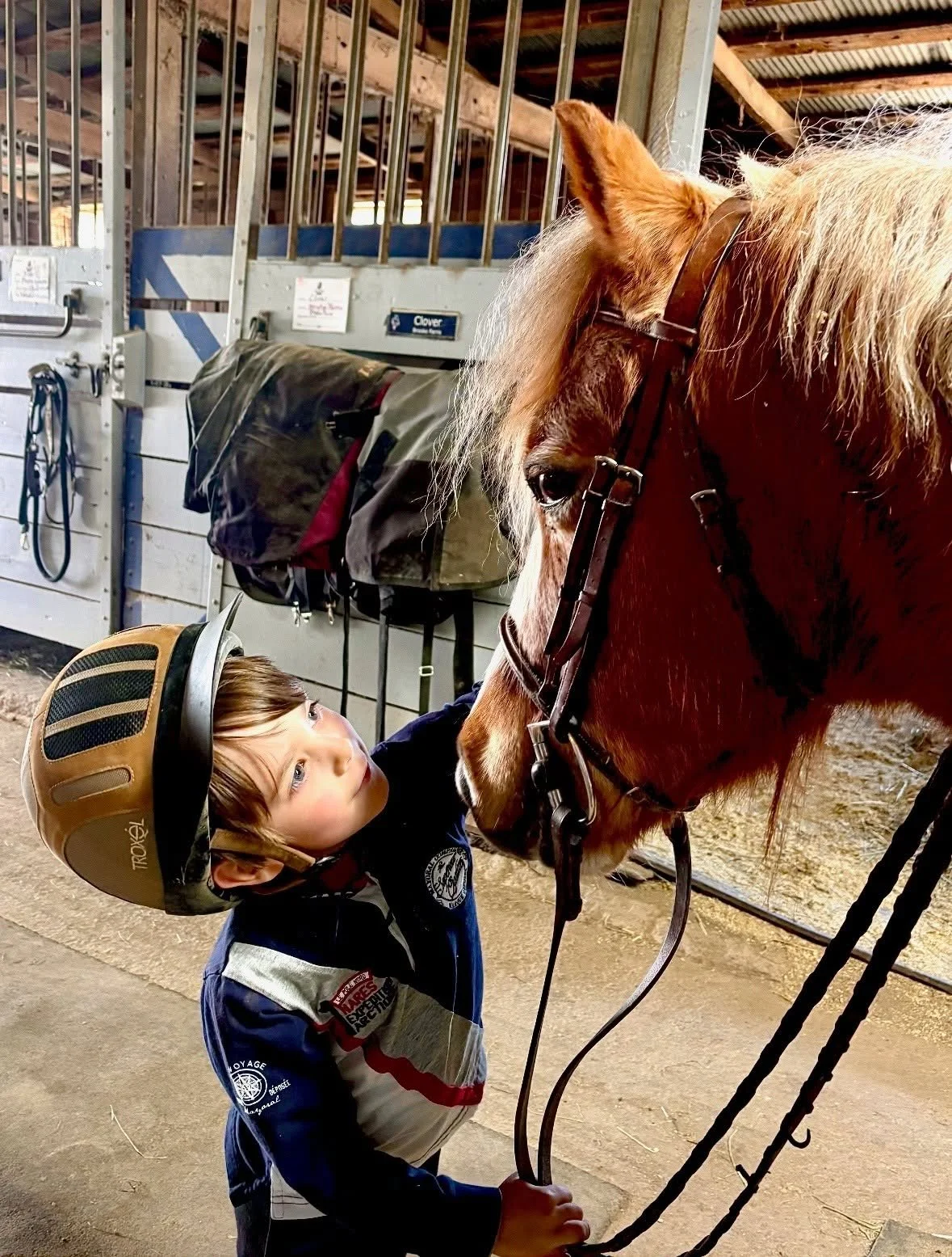 Young boy wearing a helmet looks at a brown horse in a stable.