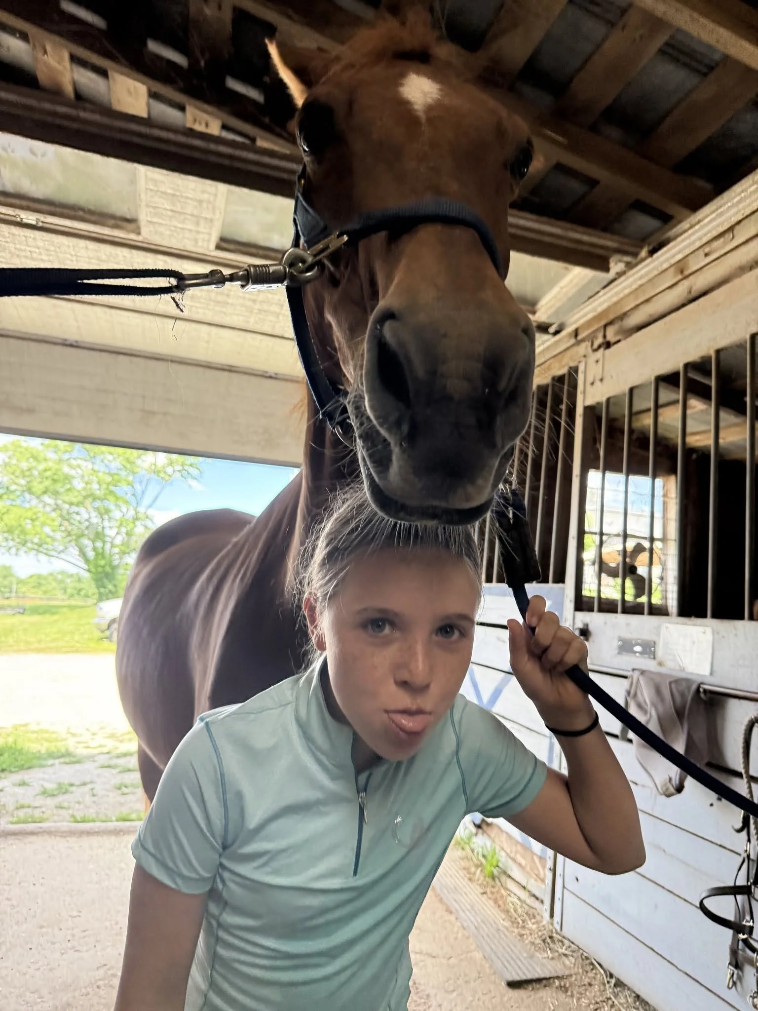 A young girl in a light blue shirt is sticking out her tongue while standing next to a brown horse inside a stable, with the horse's head close to her face.
