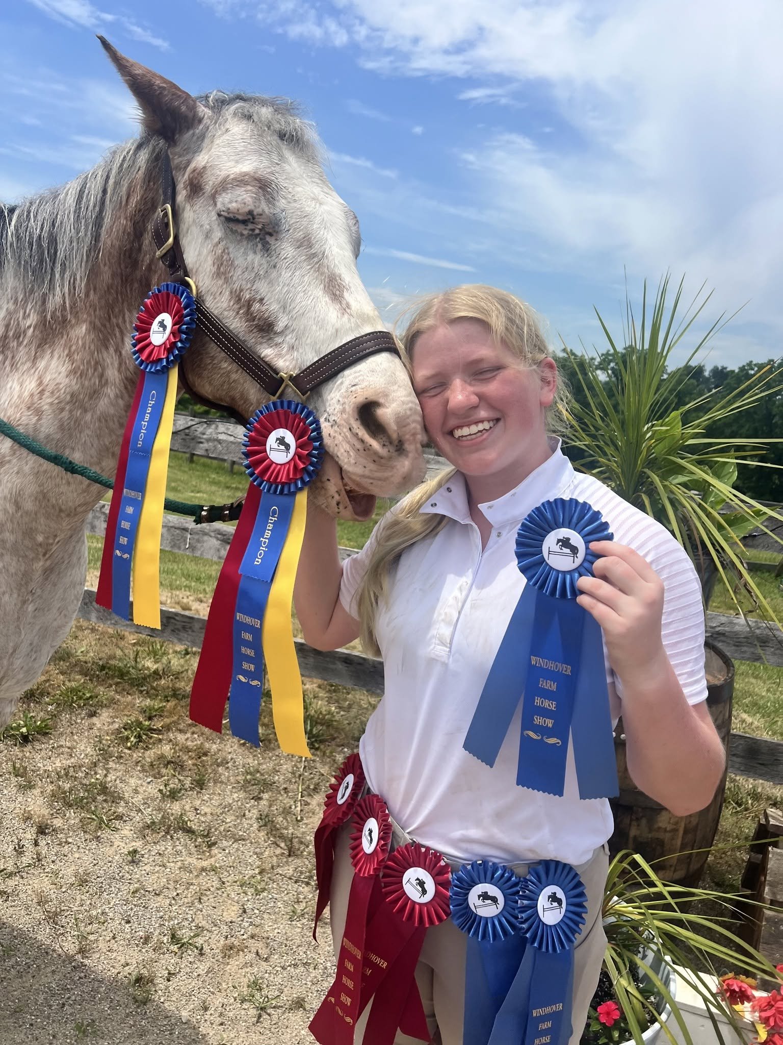 A smiling young woman holding a blue award ribbon, standing next to a gray horse with several ribbons on its bridle, in an outdoor setting with a blue sky and green plants.