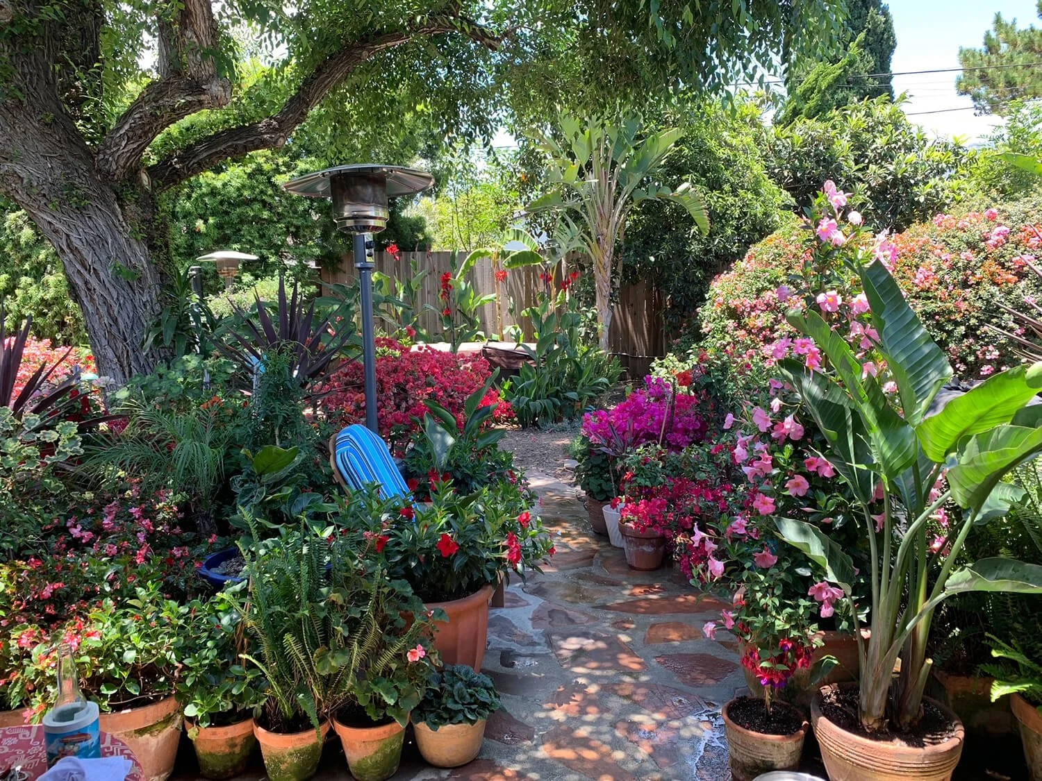 A lush backyard filled with various colorful flowering plants in pots, a large tree providing shade, a stone pathway, and a blue striped chair under a patio heater, creating a vibrant garden scene.