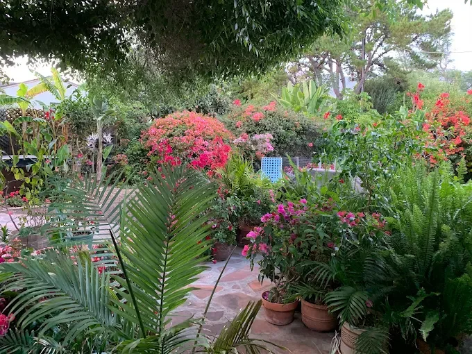 Lush garden with colorful flowering plants, potted greenery, and trees. | Las Palmas Landscape | Santa Barbara California