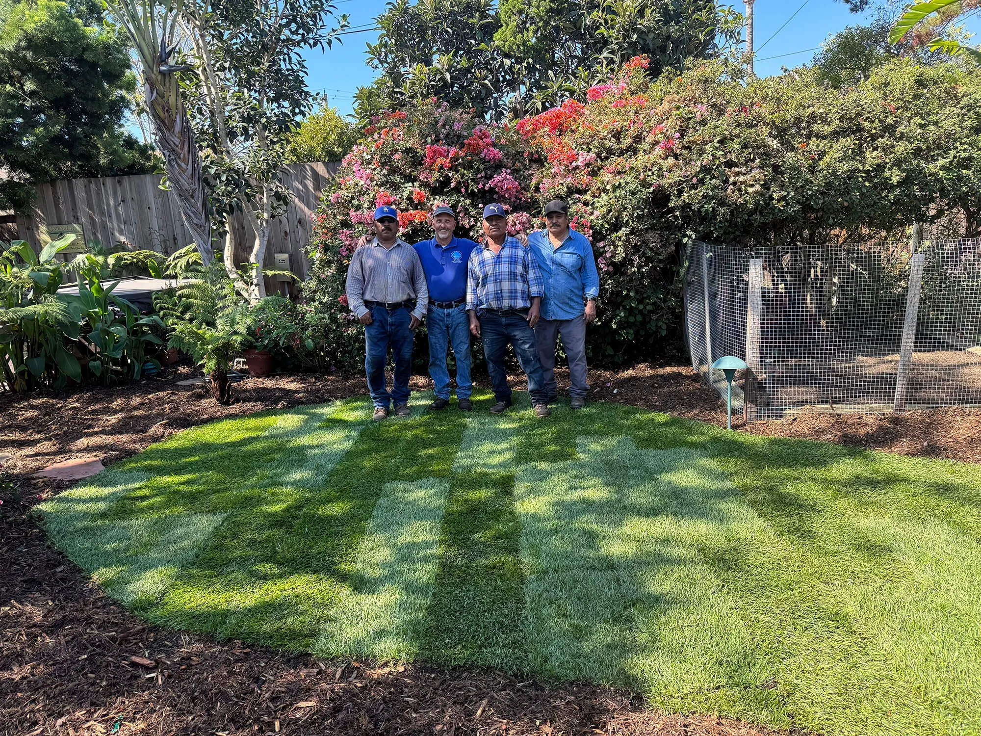 Four men standing in front of blooming pink and red flowers with green foliage in a backyard garden during daytime.