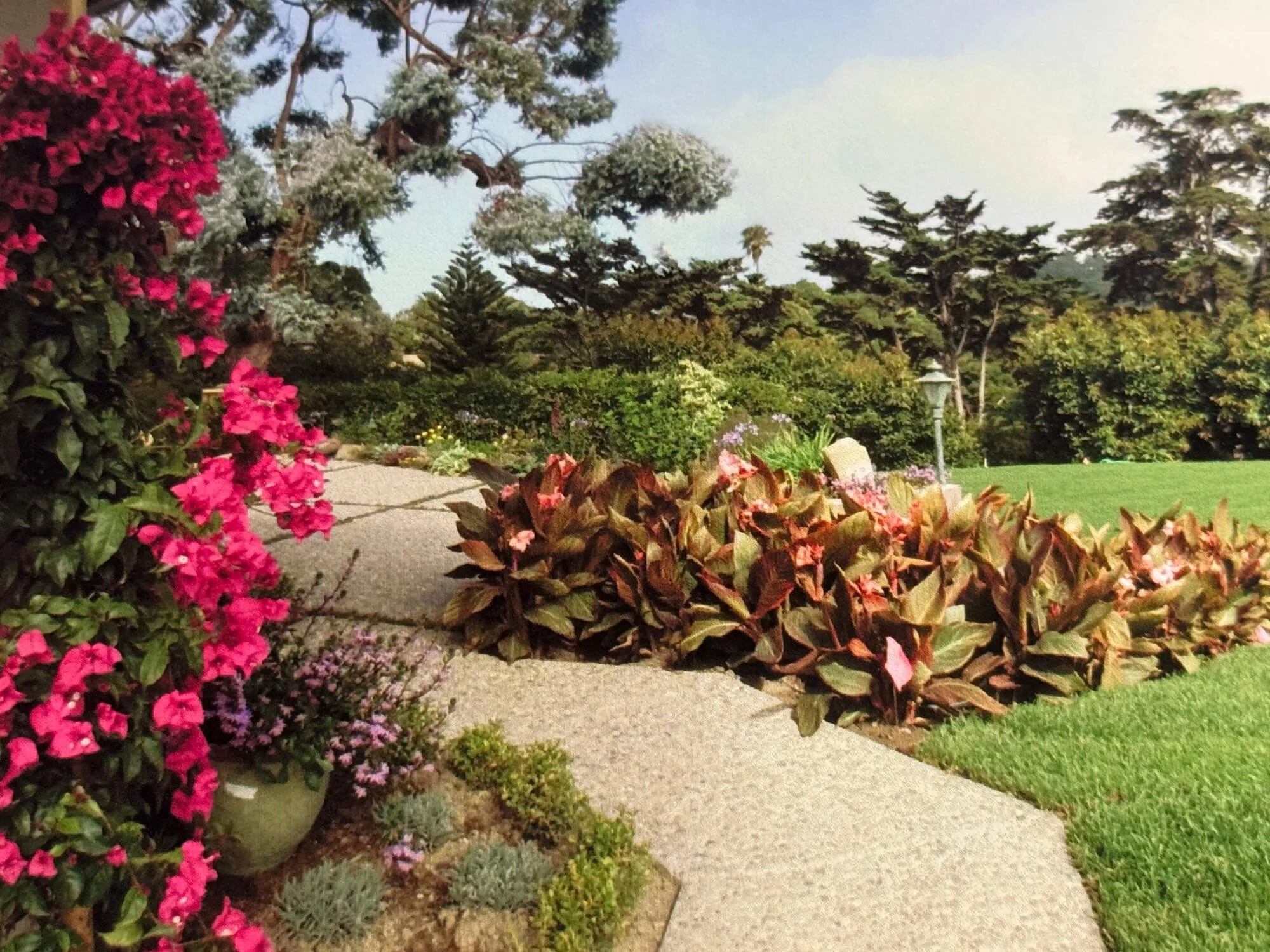 A garden with various flowering plants, bushes, and trees, including pink flowers in the foreground and tall trees in the background, with potted plants on a sidewalk and a lamp post near the grass.