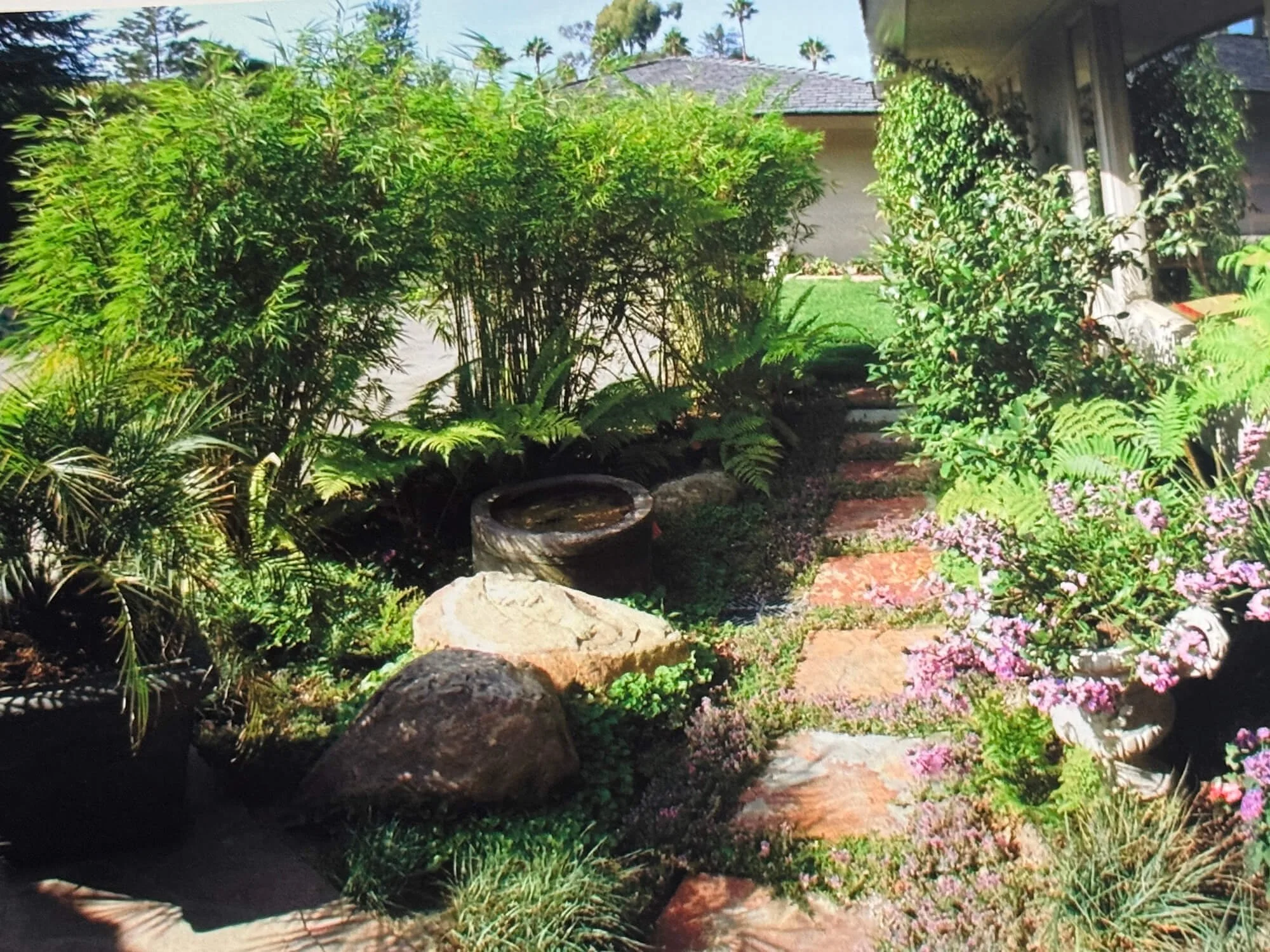 A lush backyard garden with various green bushes and plants, a stepping stone pathway, and a house with a window in the background.