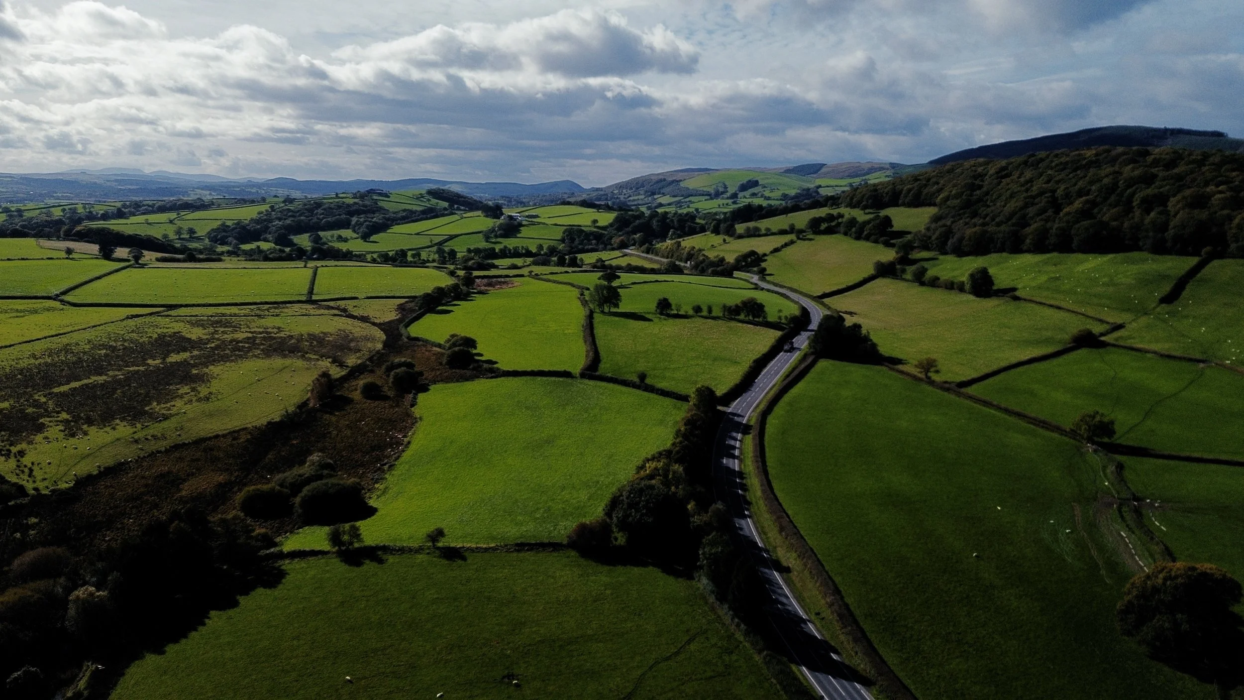 DJI_0384.jpg