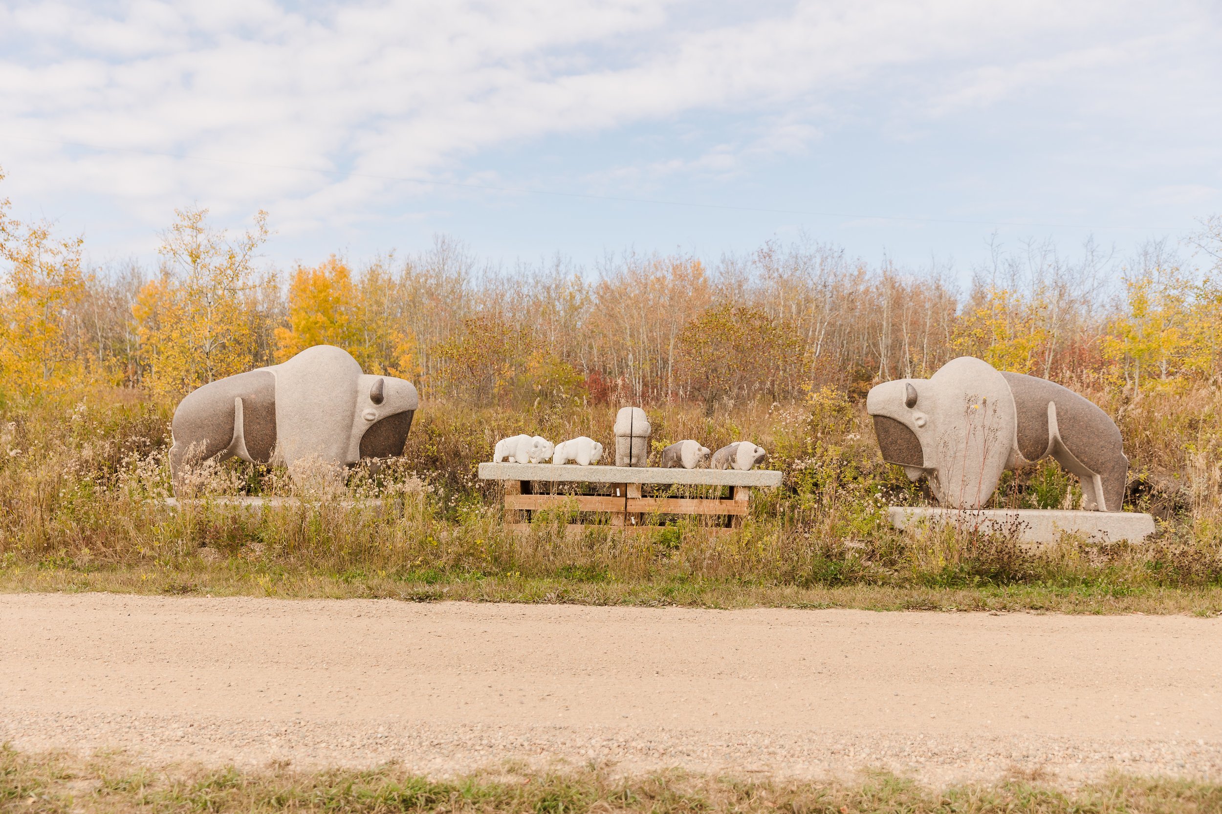 Study for Buffalo Mountain Sculpture Concept