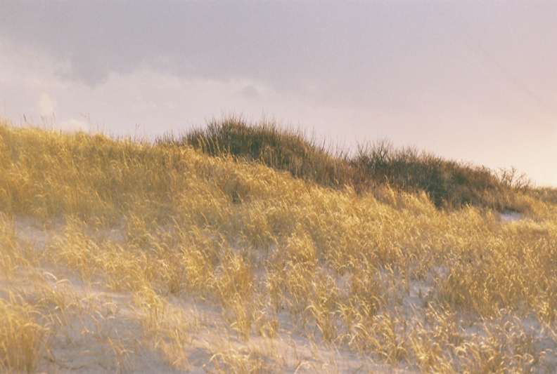 film+website.png