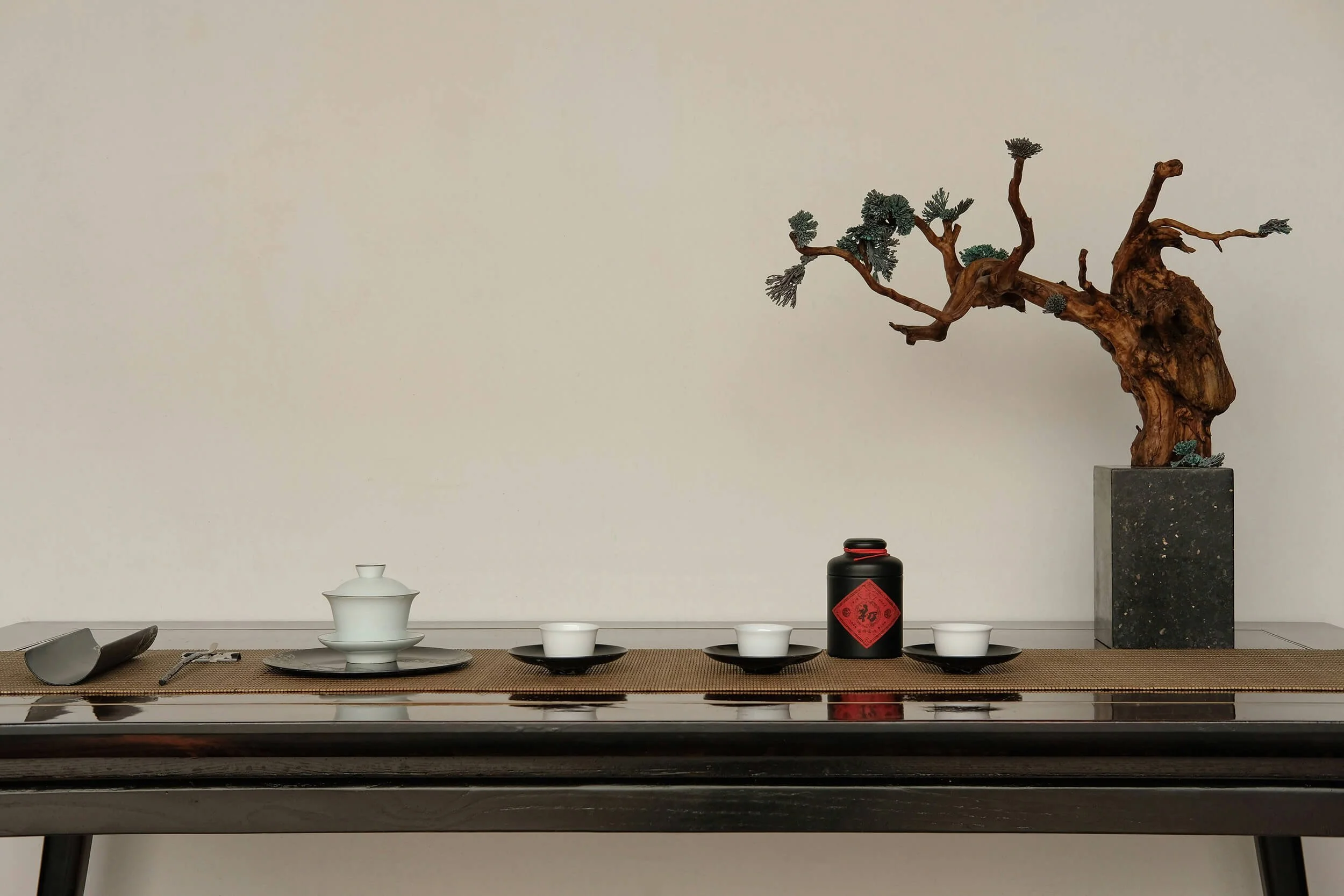 A minimalist tea ceremony setup featuring a bonsai tree representing Traditional Chinese Medicine.