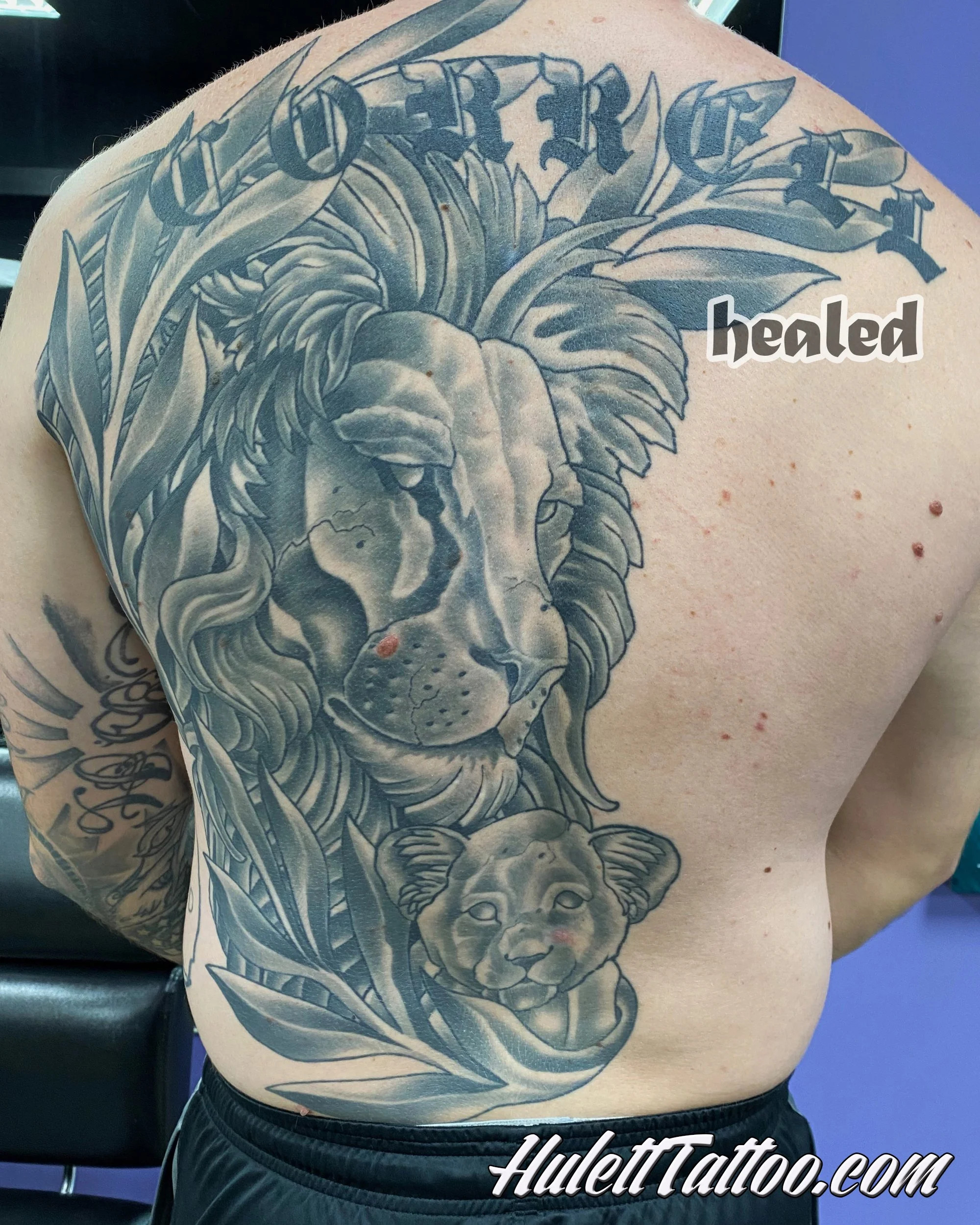 Hulett_21_LionCubFullBackl.jpg