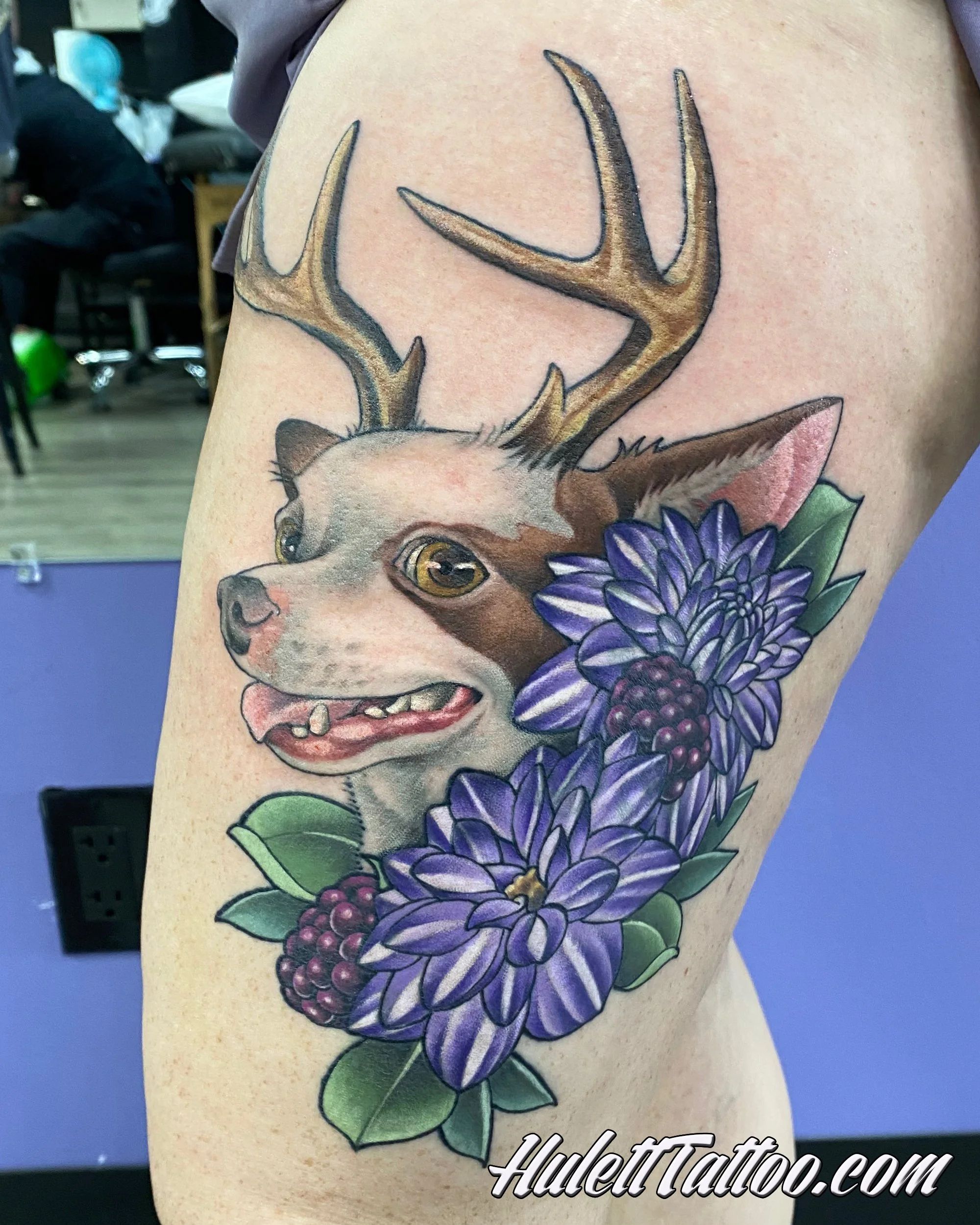 Hulett_22_Cover_HornedChihuahua.jpg
