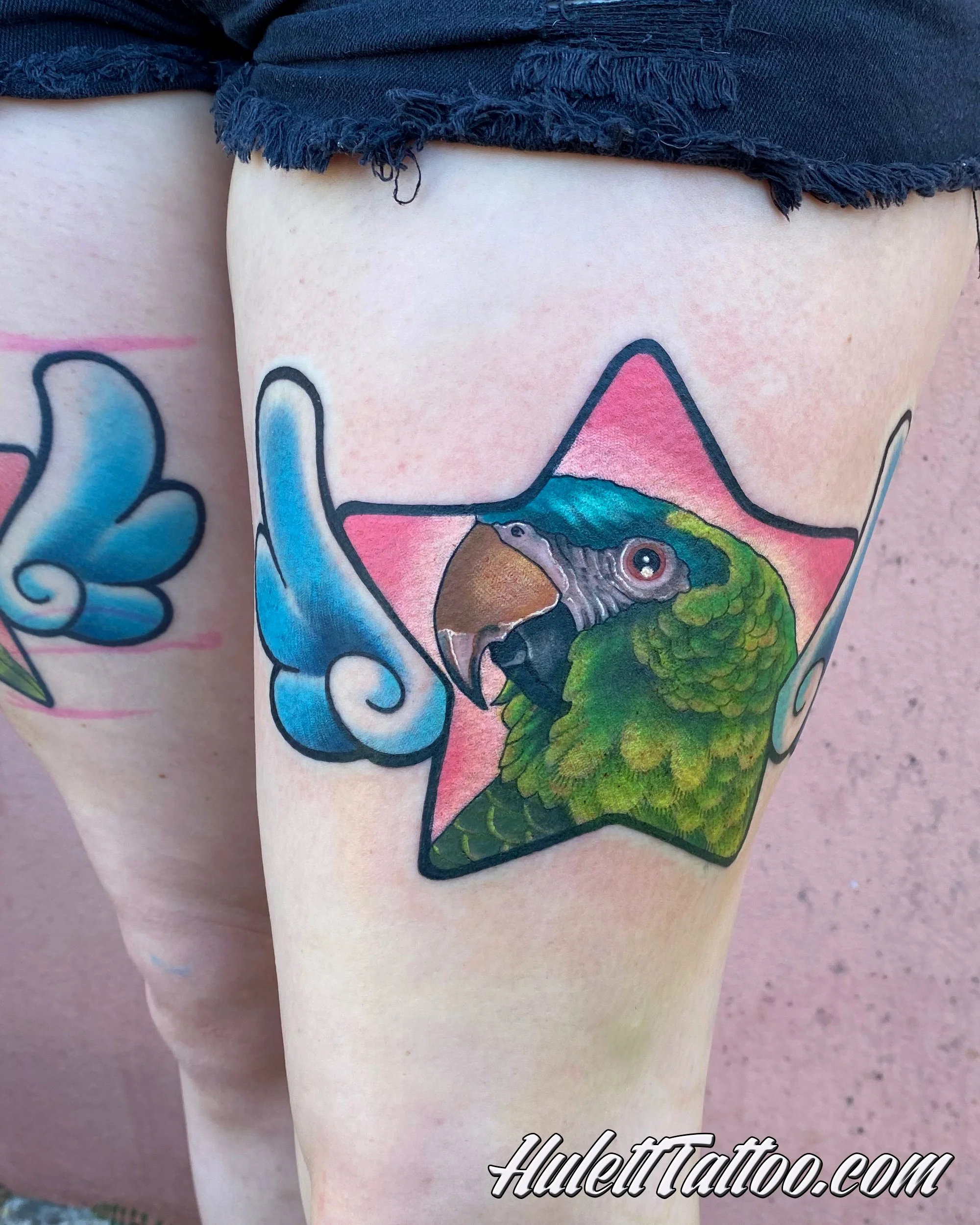 Hulett_20_Parakeet.jpg