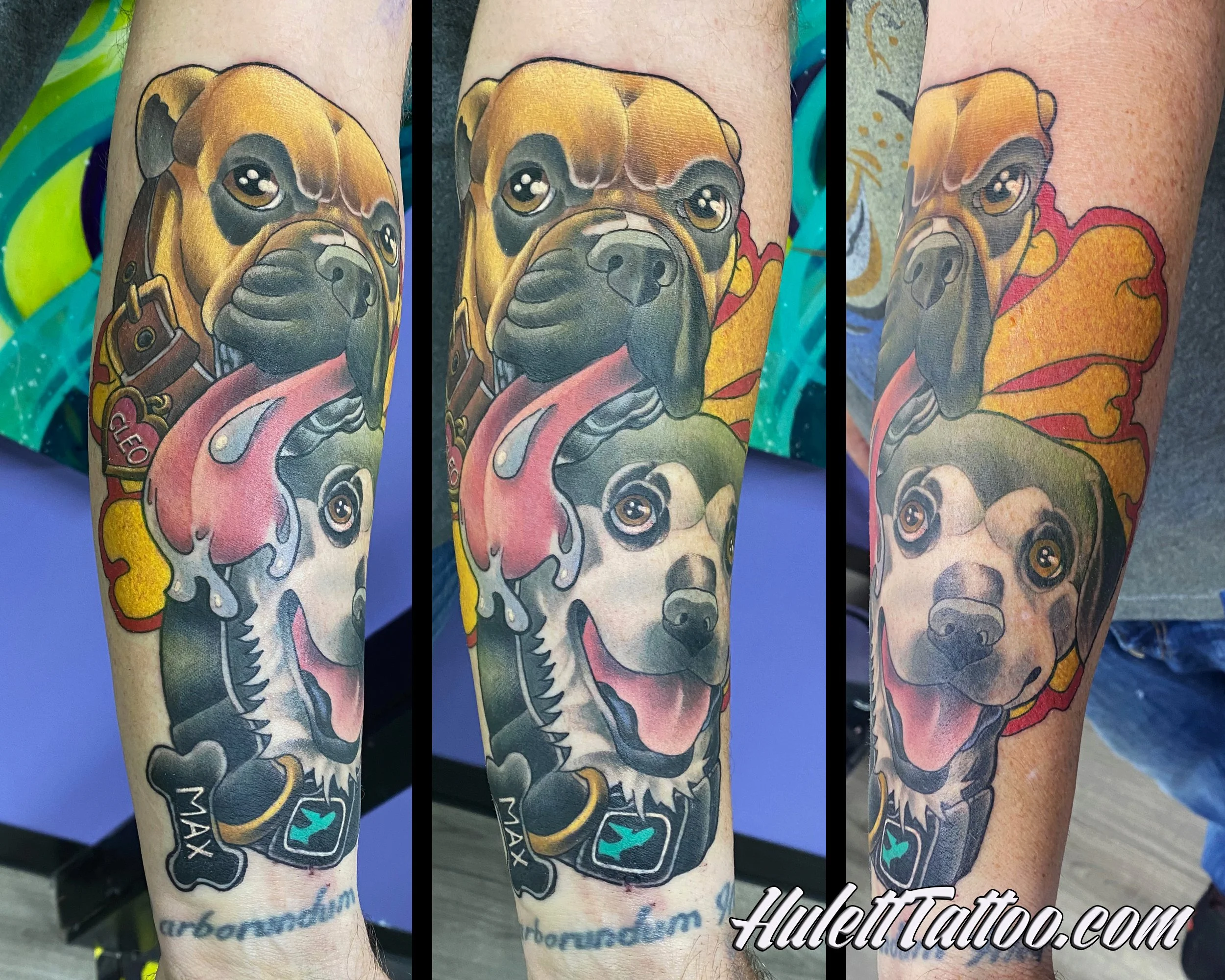 Hulett_21_DogPortraitsNewSchool.jpg