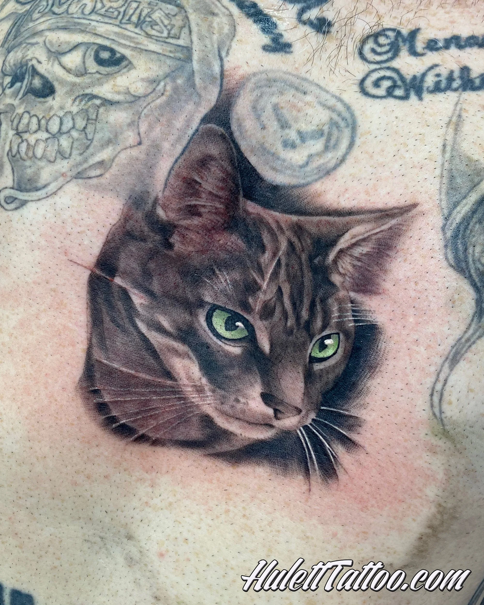 Hulett_21_CatPortrait.jpg