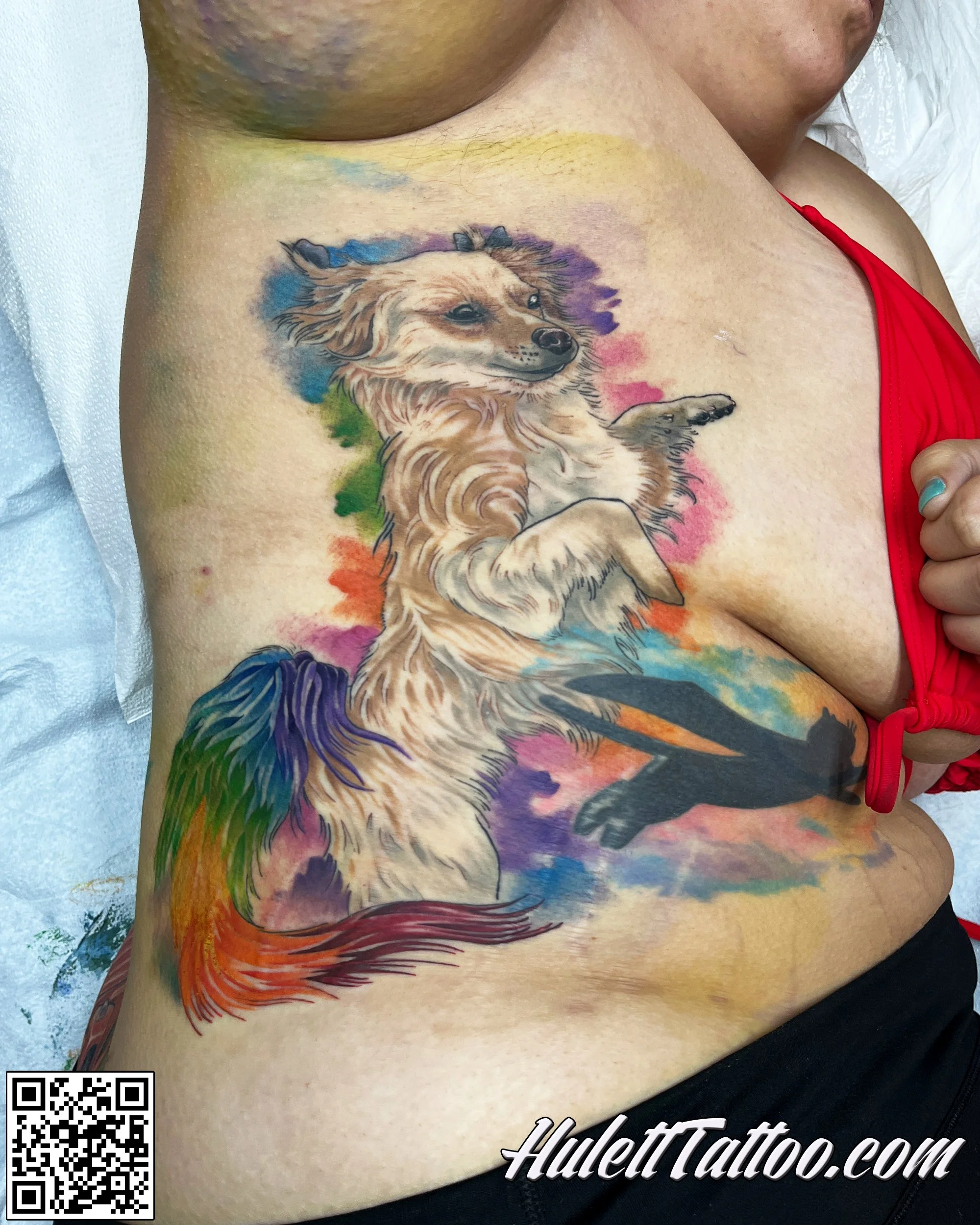 Hulett_24_DogWithColorfulTail01.jpg