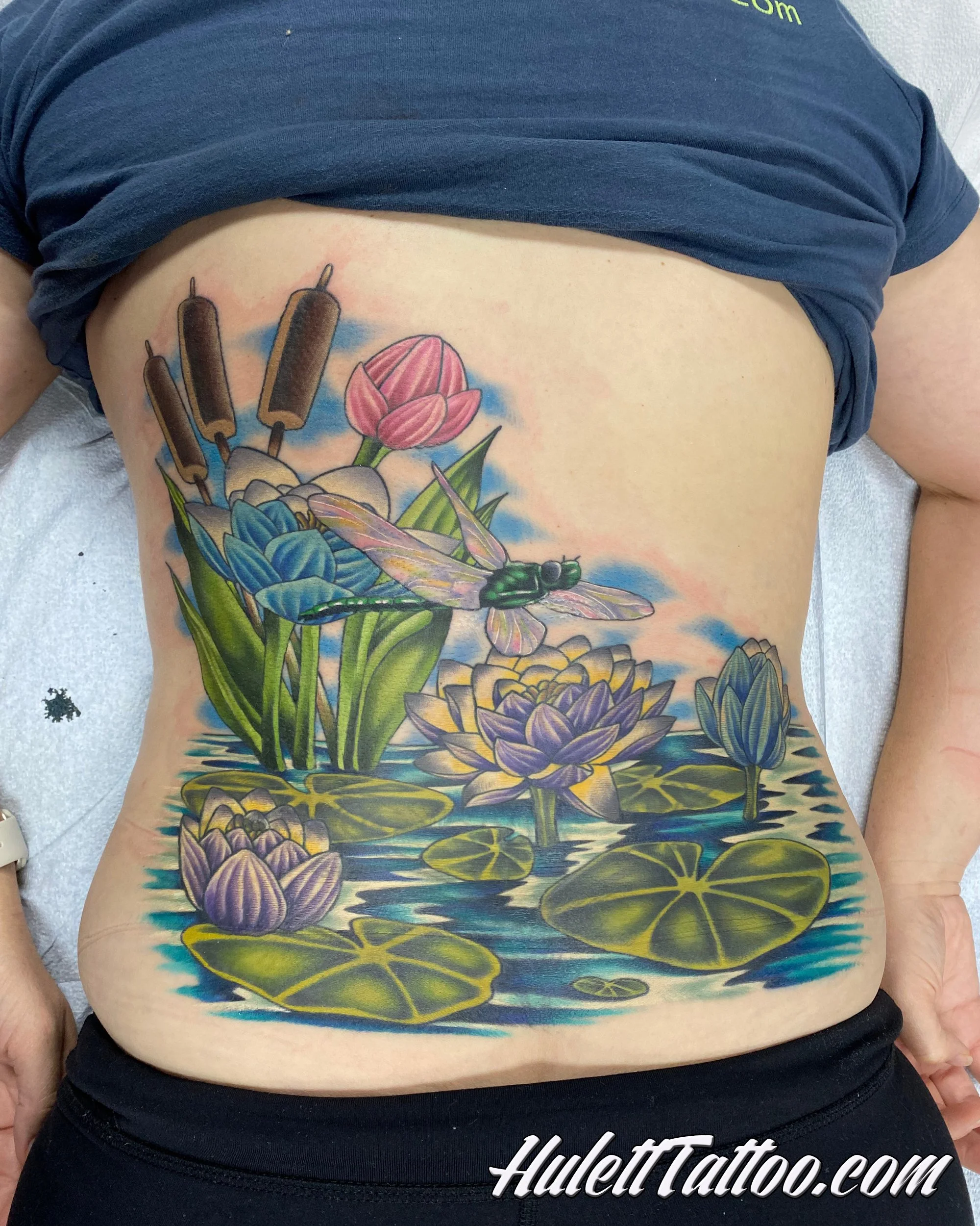 Hulett_22_CoverUP_LowerBackDragonfly01.jpg