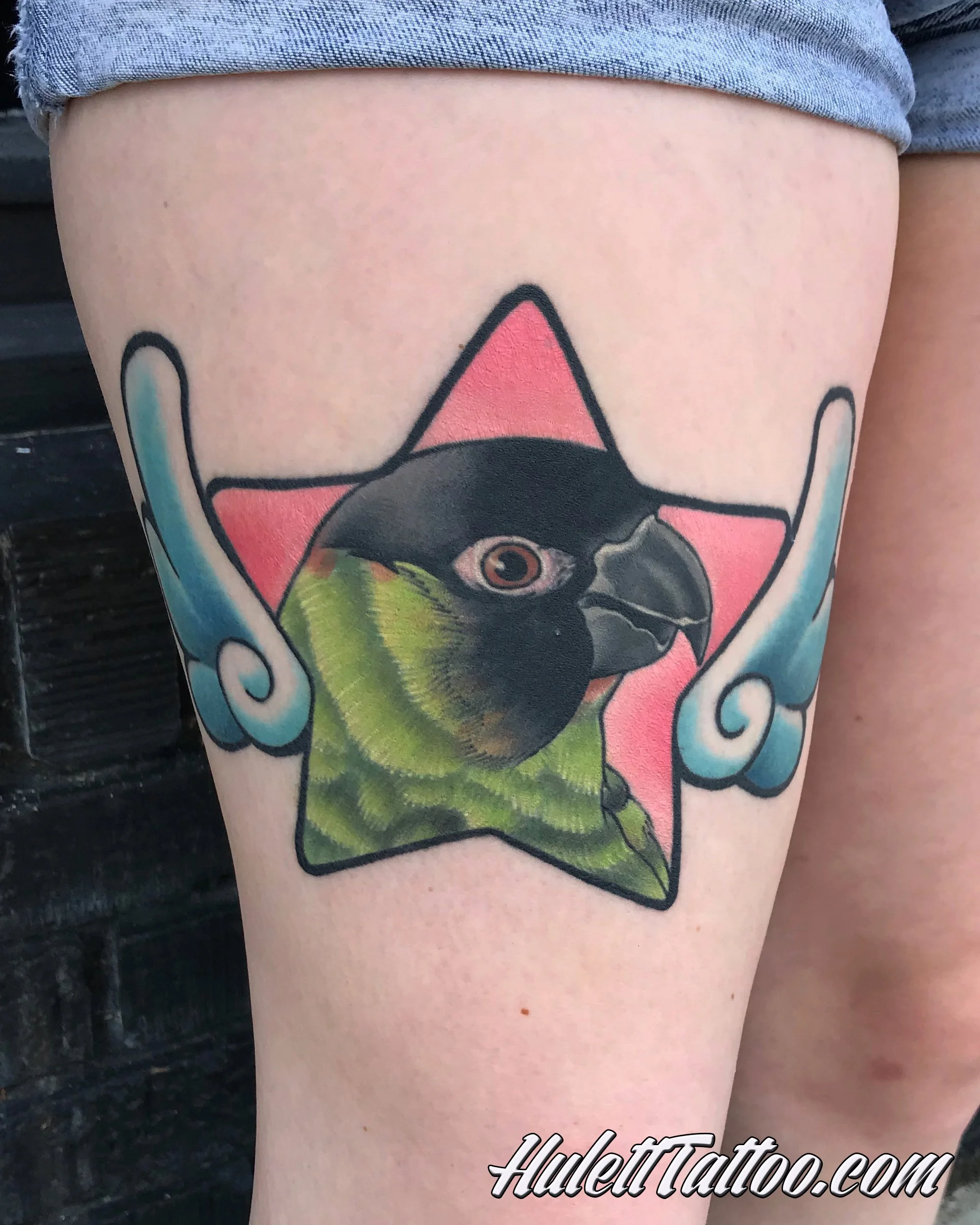 Hulett_20_Parakeet01.jpg