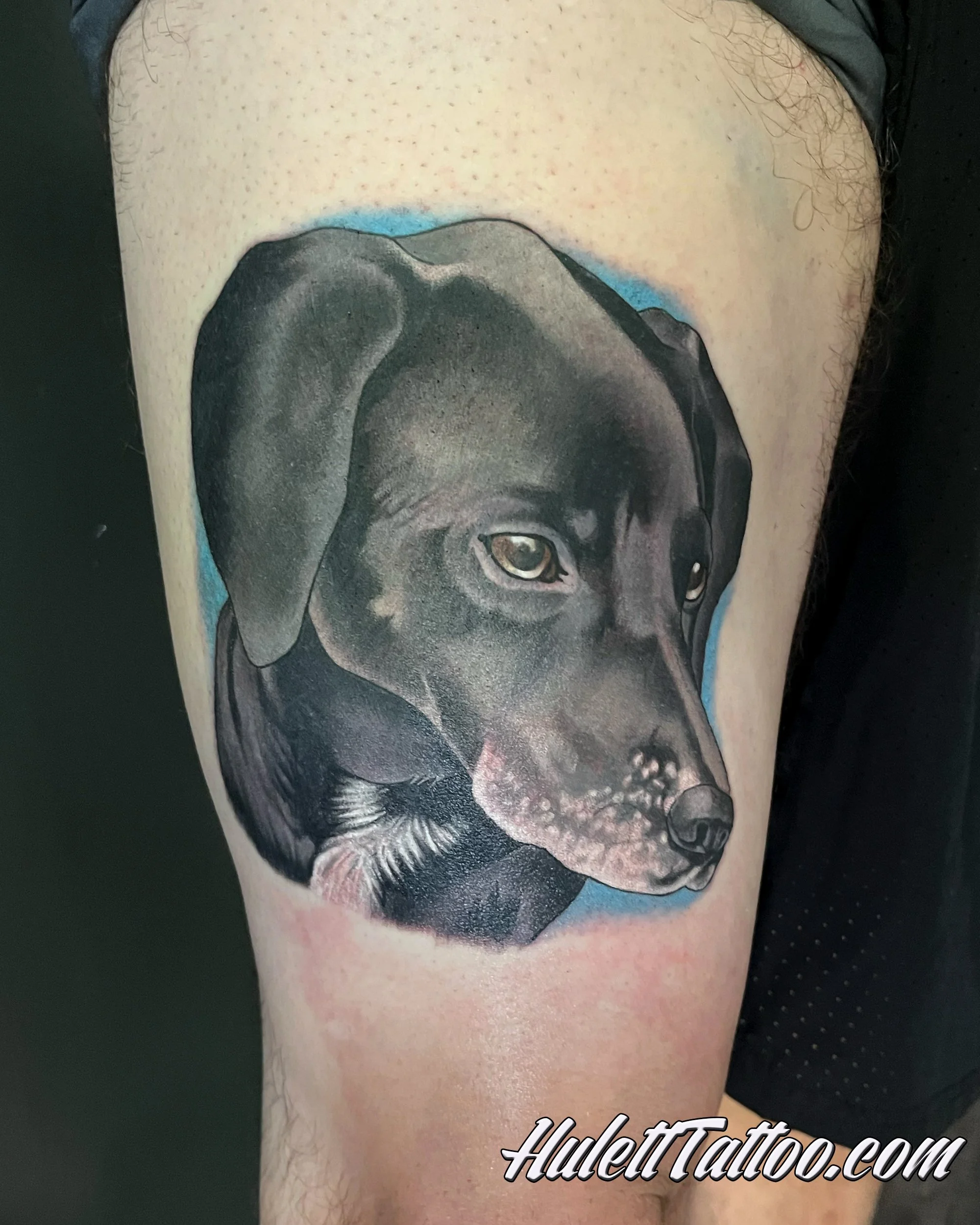 Hulett_24_DogPortrait.jpg