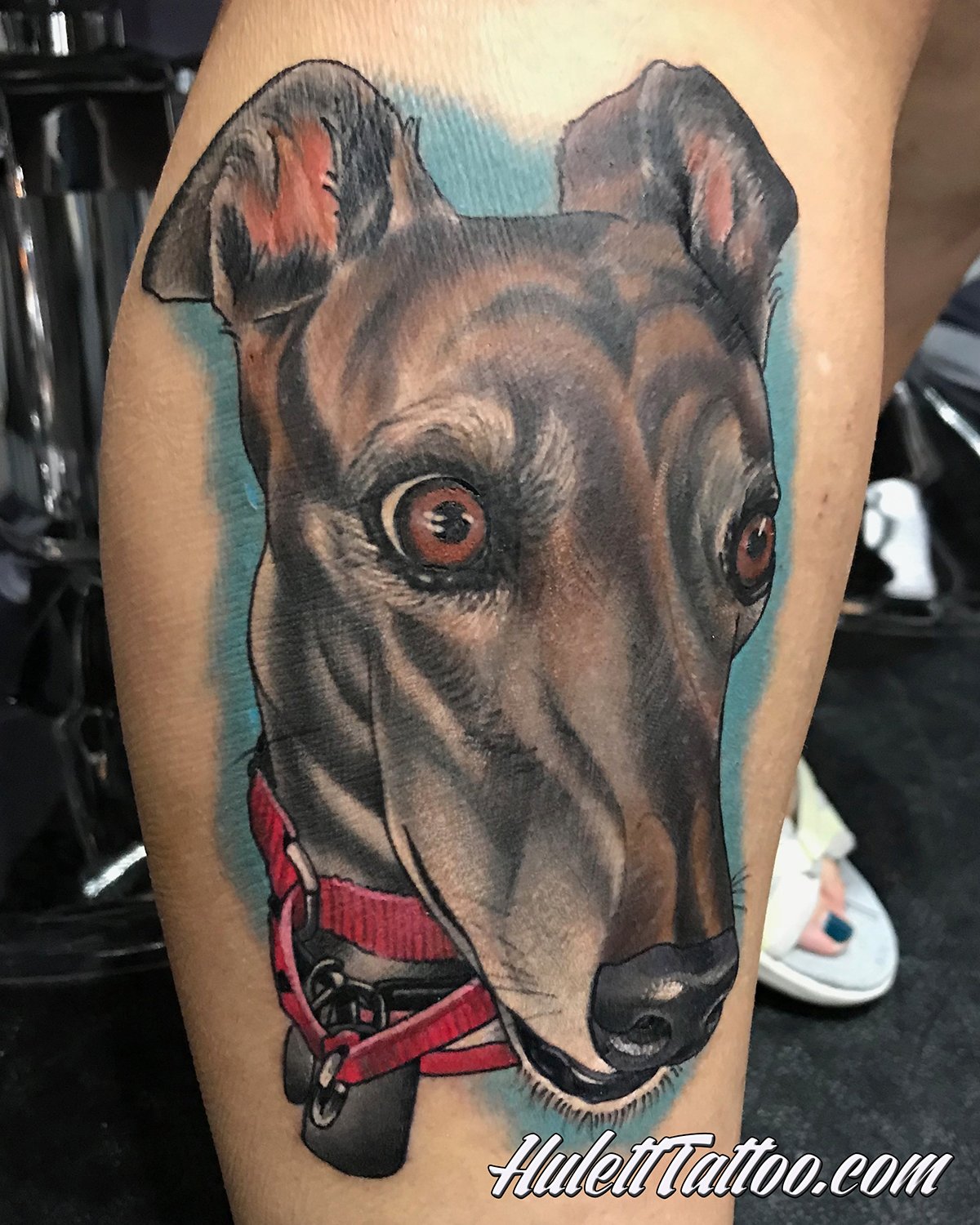 Hulett_18_DogPortrait.jpg