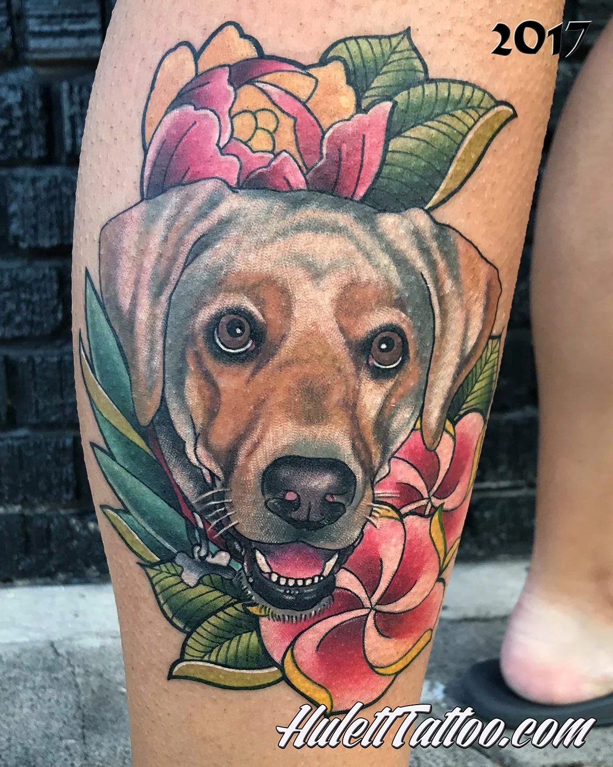 Hulett_17_DogPortrait.jpg