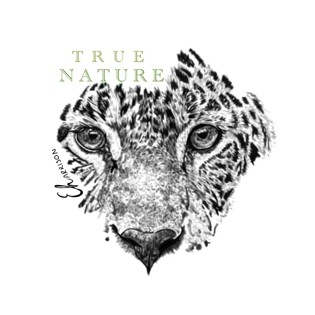 True Nature