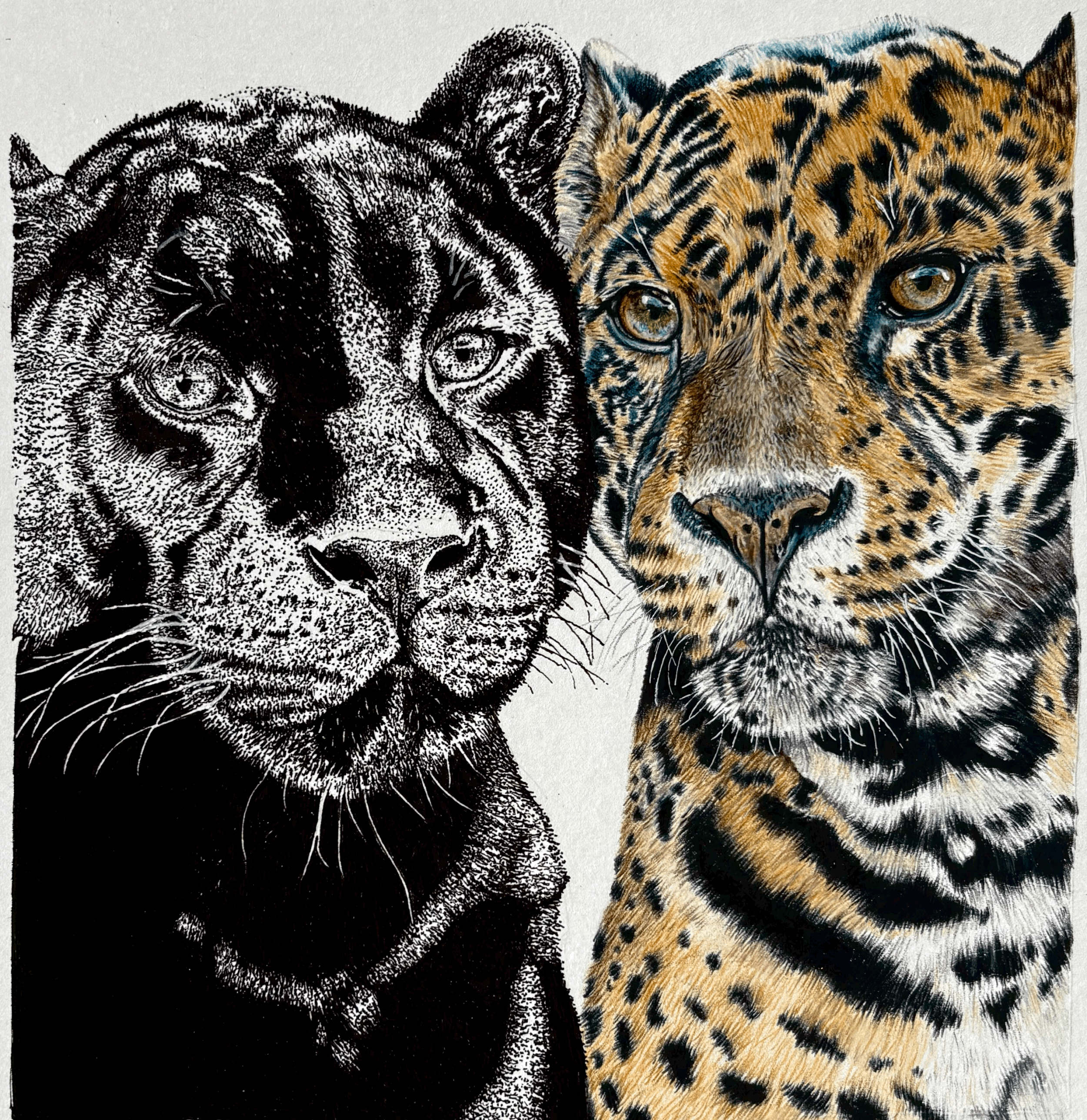 one spirit, two forms