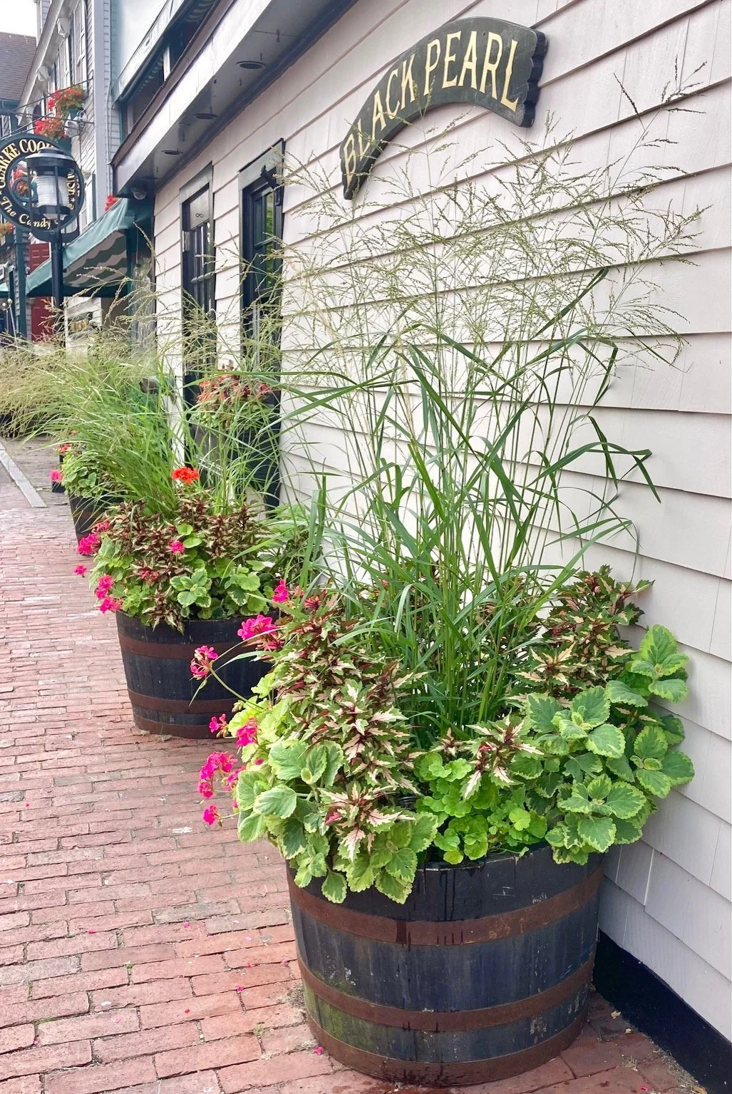Large flower pots with green, pink, and red flowering plants and ornamental grasses on a brick sidewalk outside a building with a sign for Black Pearl.