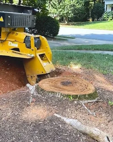 A yellow stump grinder machine working on a large cut tree stump in a residential yard, with grass, trees, and a driveway in the background.