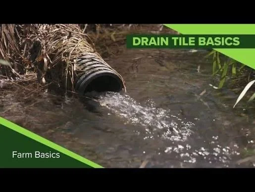 A black corrugated pipe discharges water into a drainage ditch, illustrating drain tile basics for farm drainage.