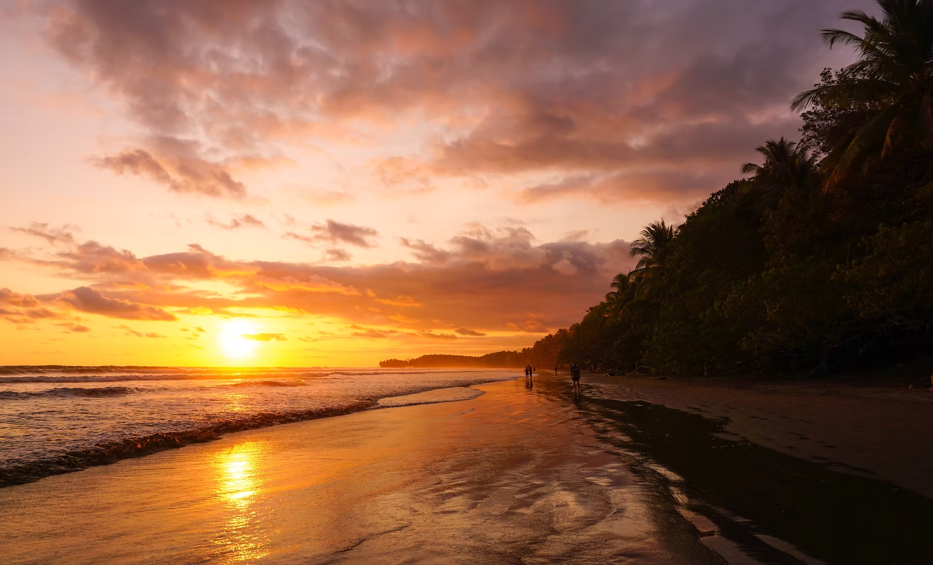 Coucher de soleil sur une plage tropicale avec des nuages roses et orange, des palmiers et des personnes qui marchent le long du rivage.