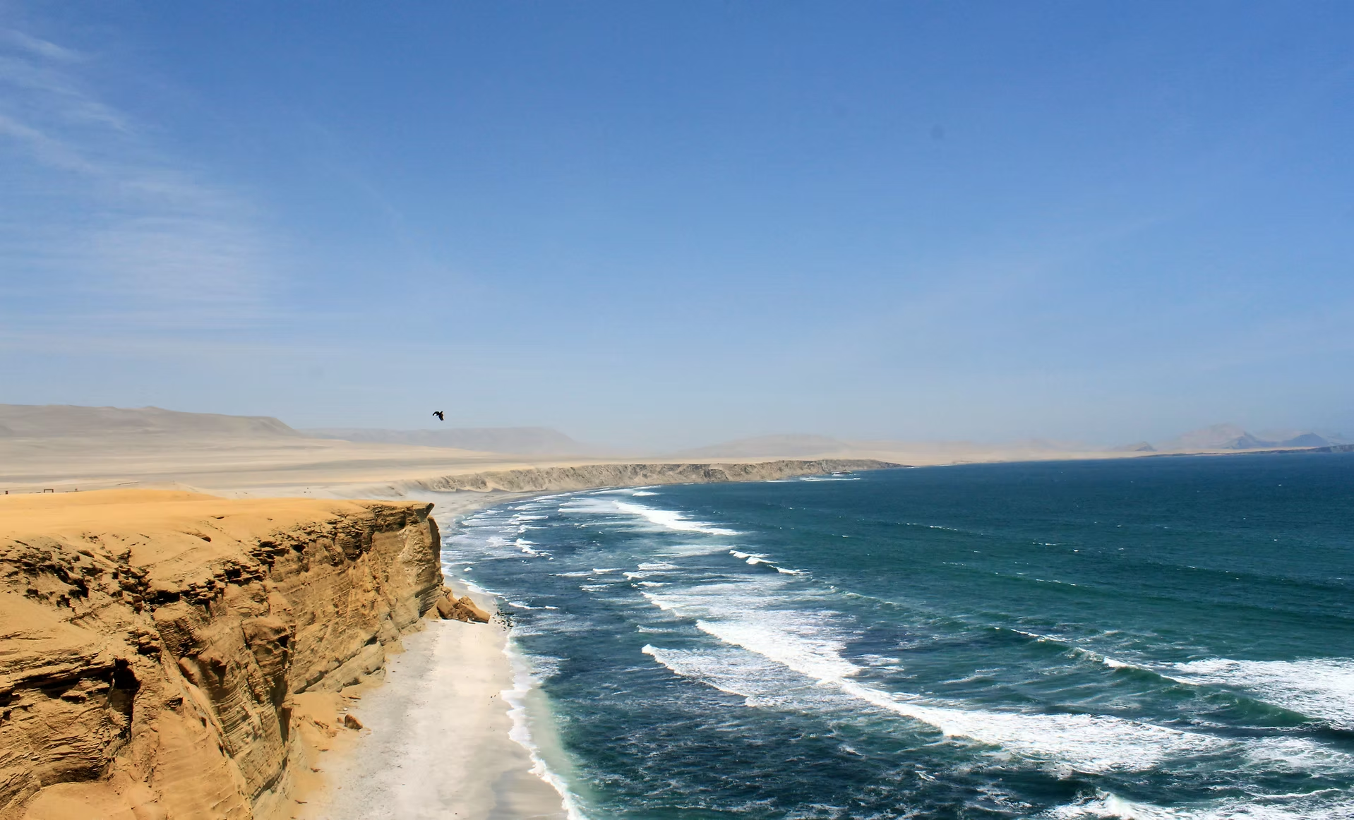 Côte rocheuse désertique avec falaise, plage de sable, océan avec vagues, ciel clair et un vautour volant dans le ciel.