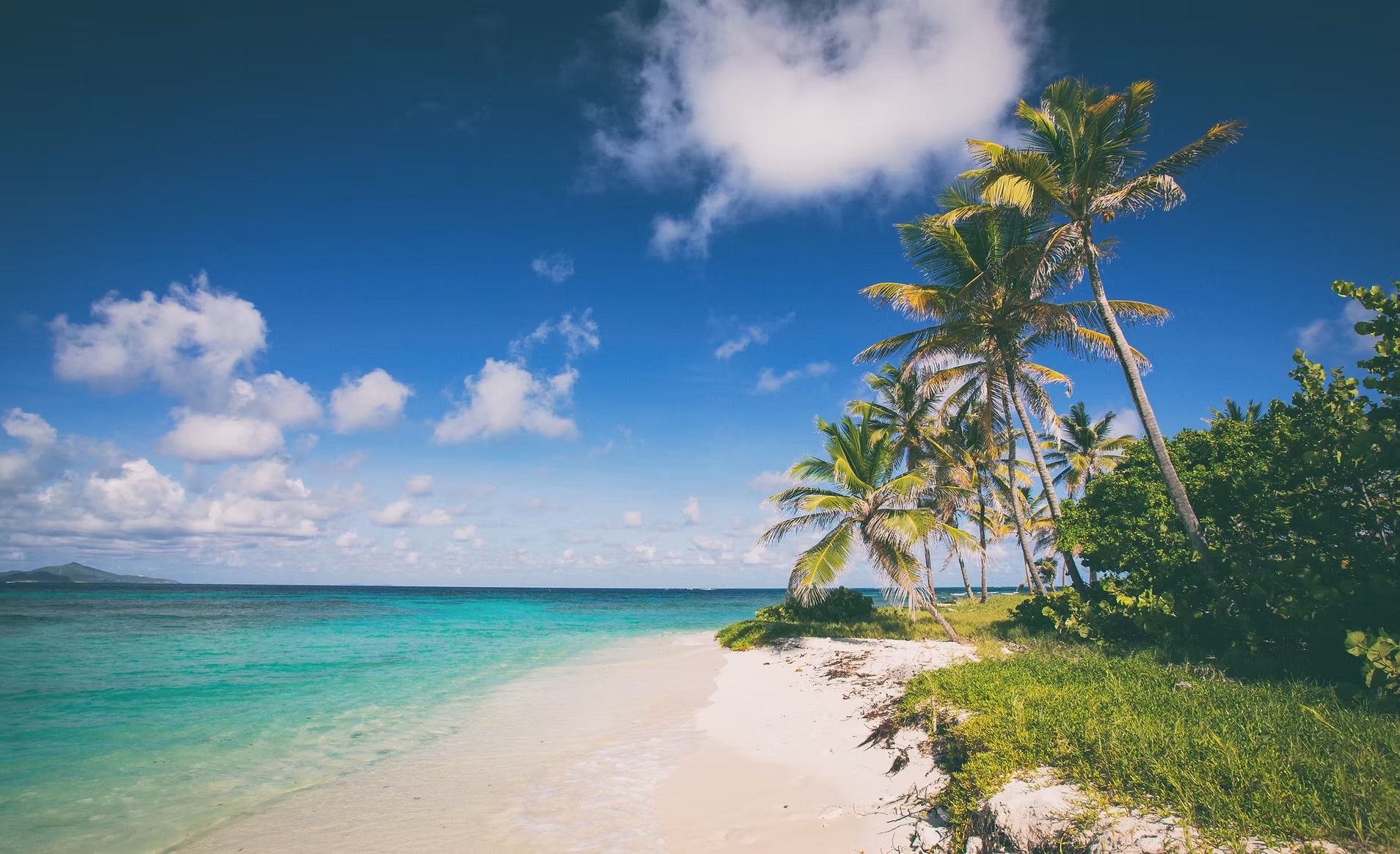Plage de sable blanc avec palmiers et mer turquoise sous un ciel bleu avec quelques nuages.